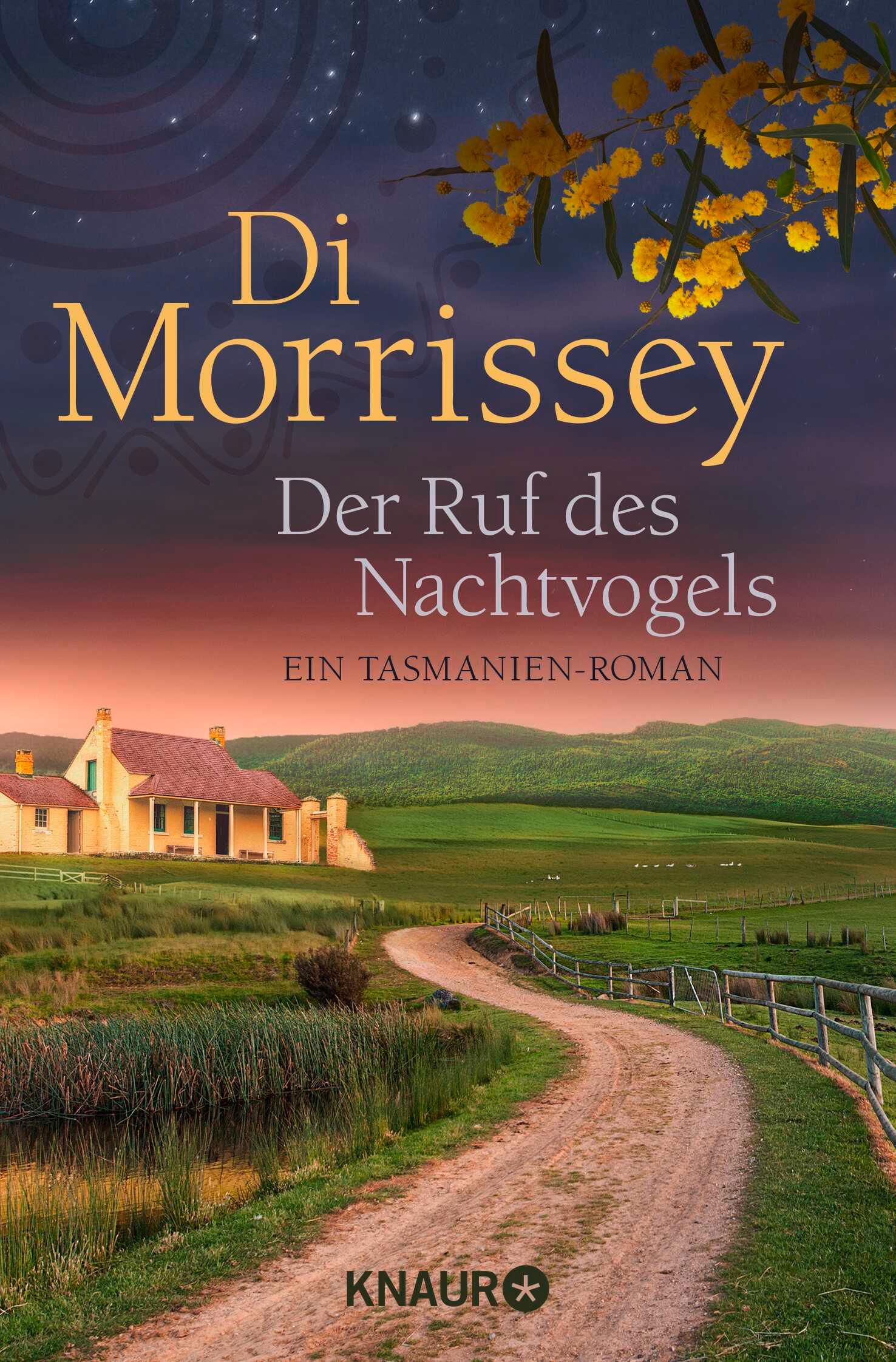 Vorderes Coverbild Der Ruf des Nachtvogels