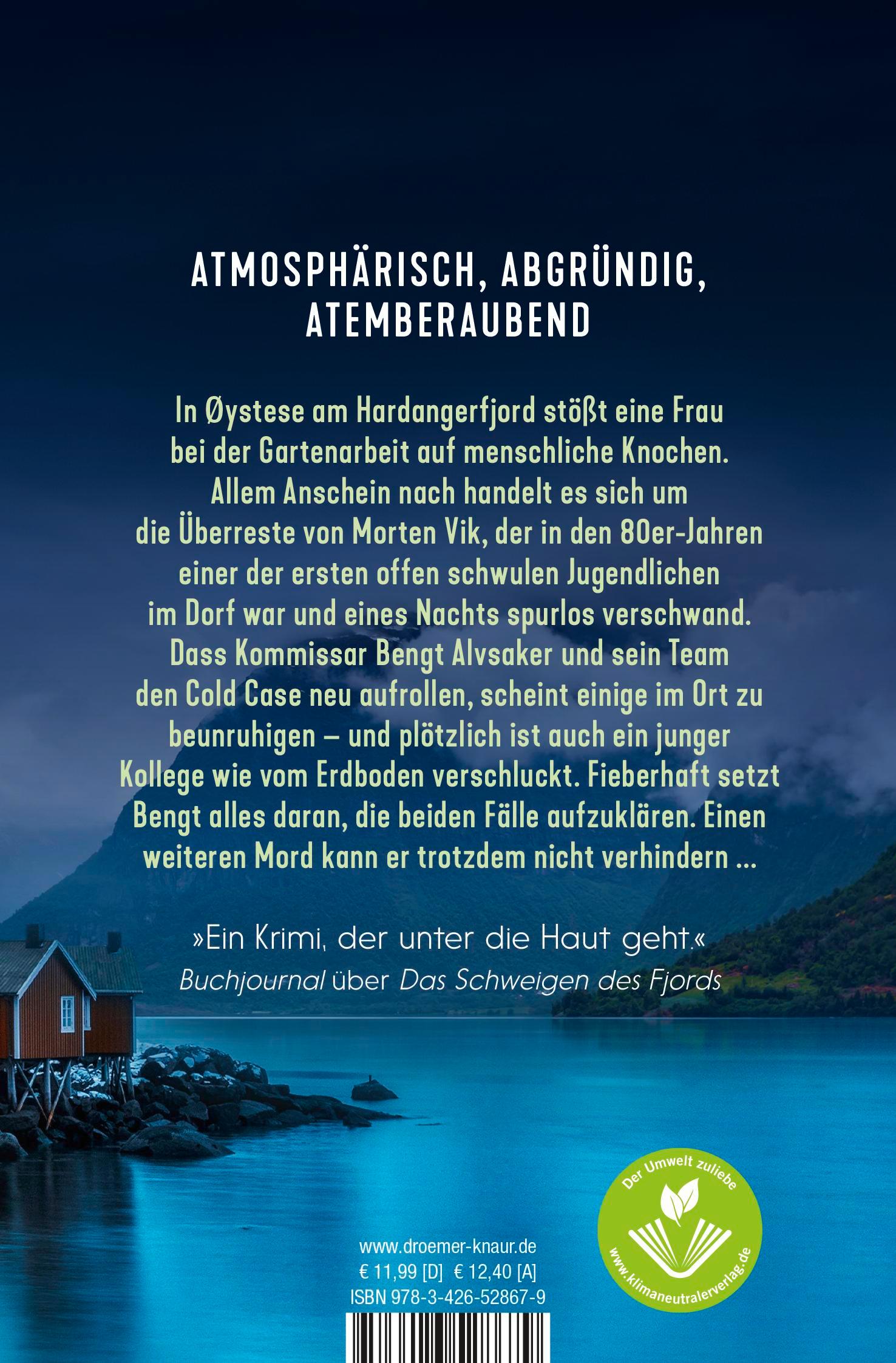 Rückseitencover Das Grab am Fjord