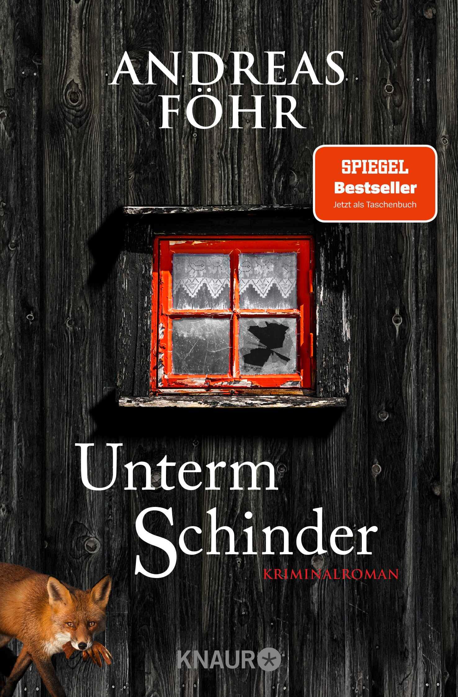 Vorderes Coverbild Unterm Schinder