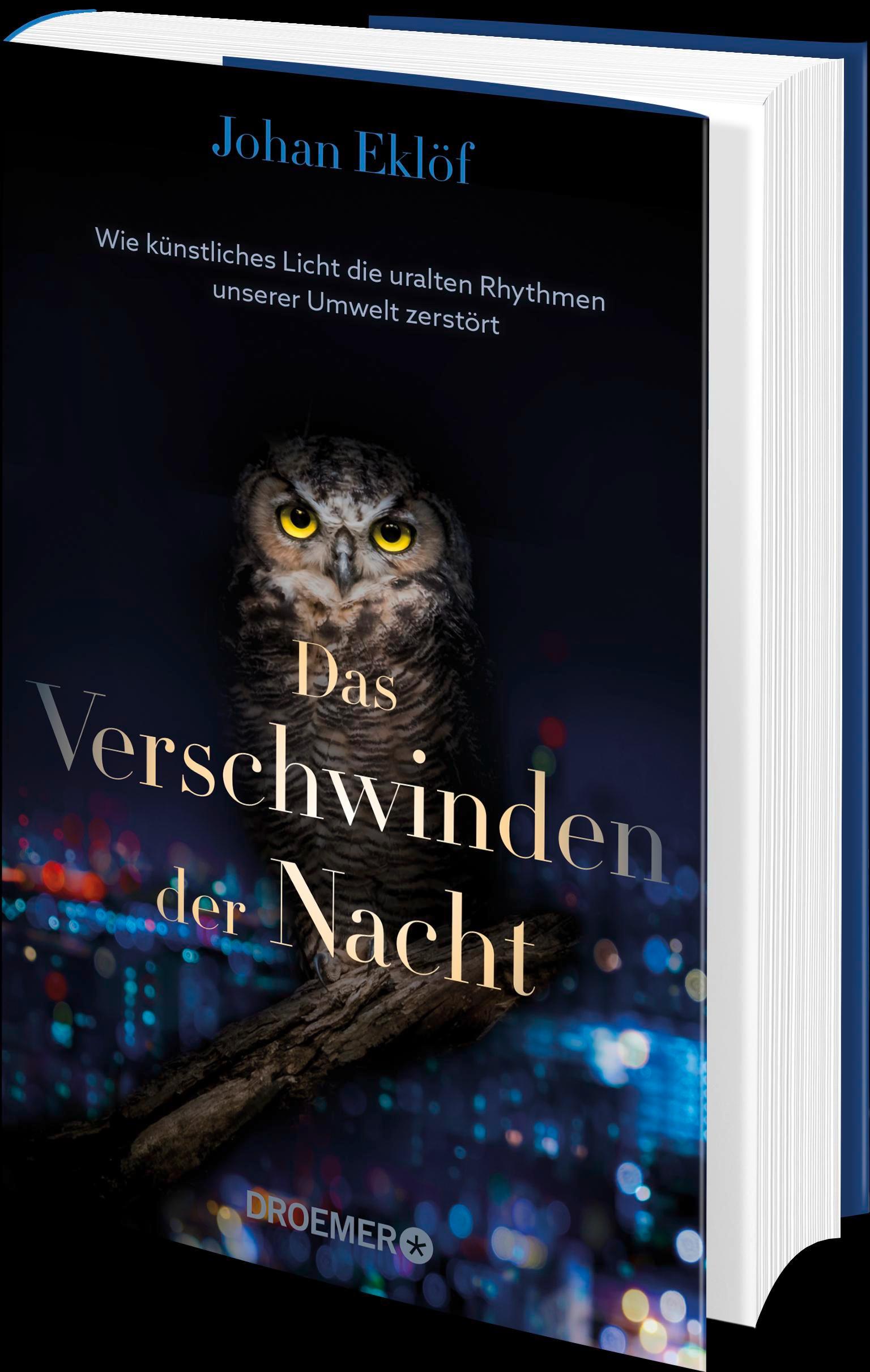 Beispielinhalt (Bild) Das Verschwinden der Nacht