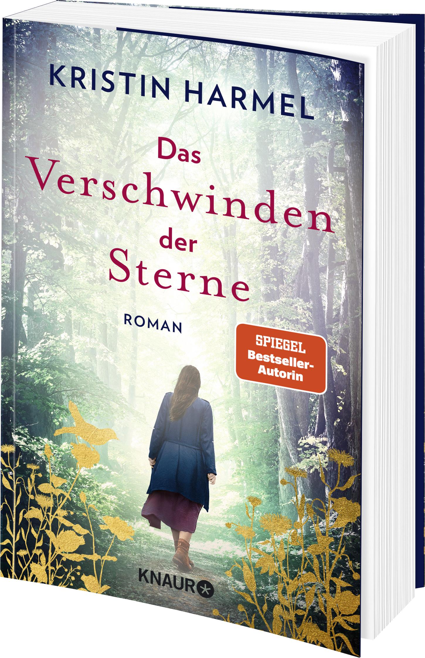 Beispielinhalt (Bild) Das Verschwinden der Sterne