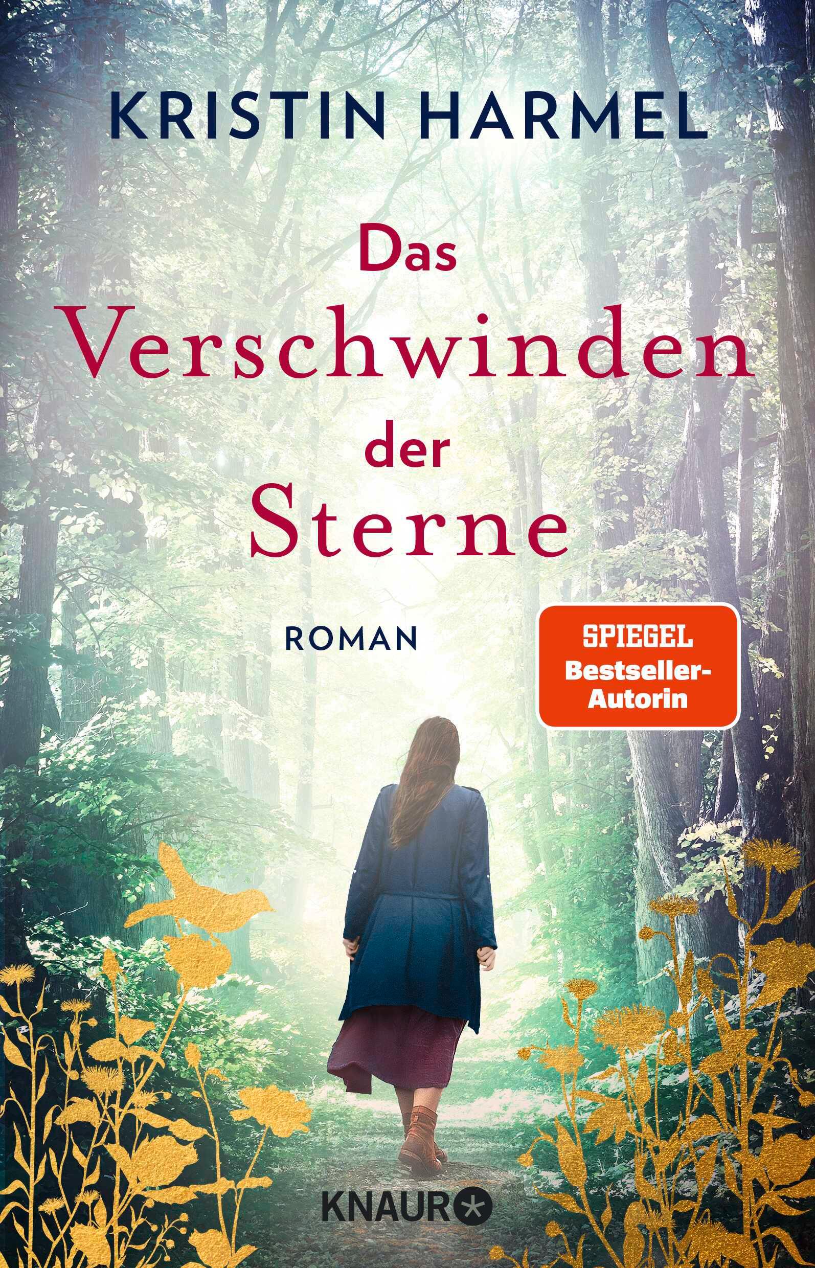 Vorderes Coverbild Das Verschwinden der Sterne