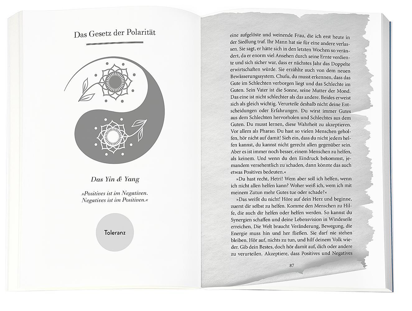 Beispielinhalt (Bild) Higher Mind. Die Gesetze des Bewusstseins