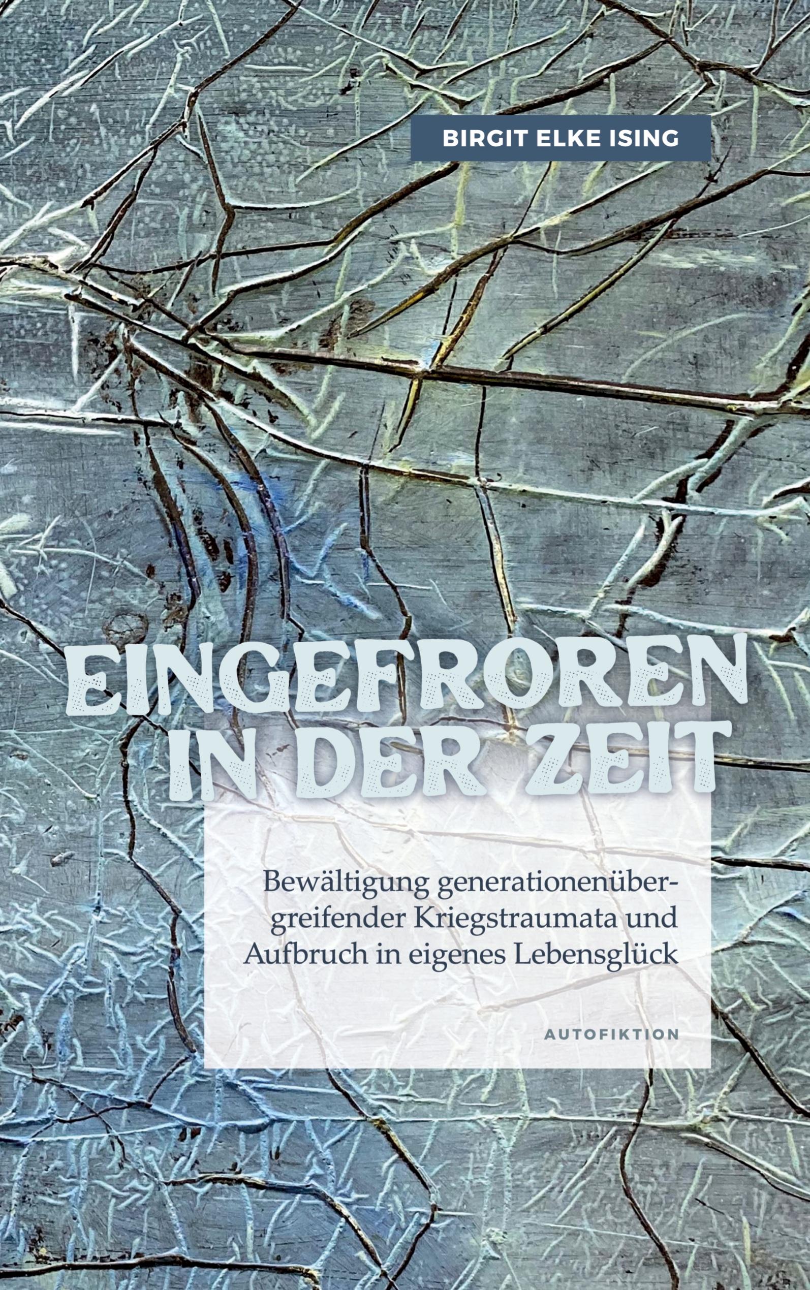 Vorderes Coverbild Eingefroren in der Zeit