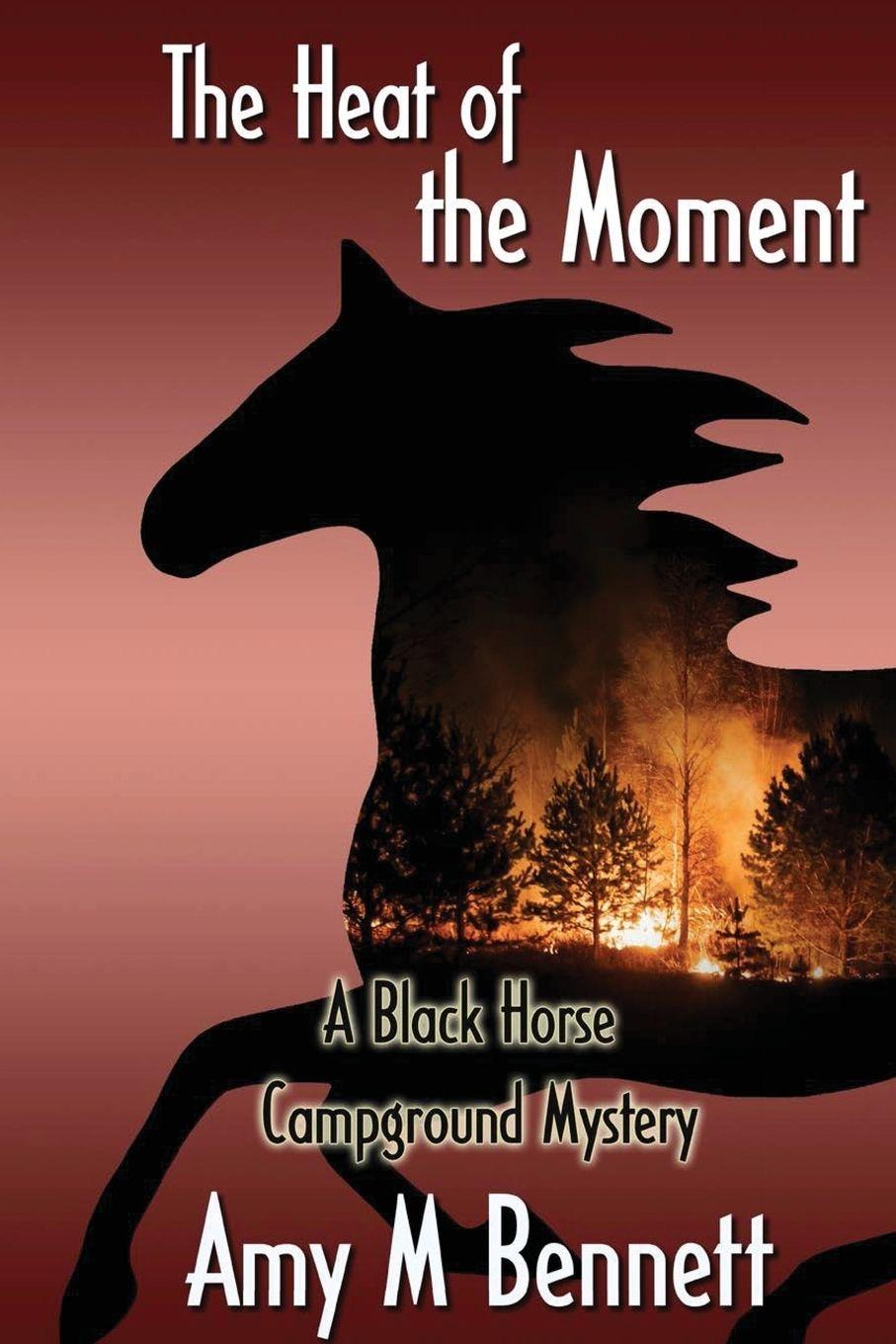 Vorderes Coverbild In the Heat of the Moment