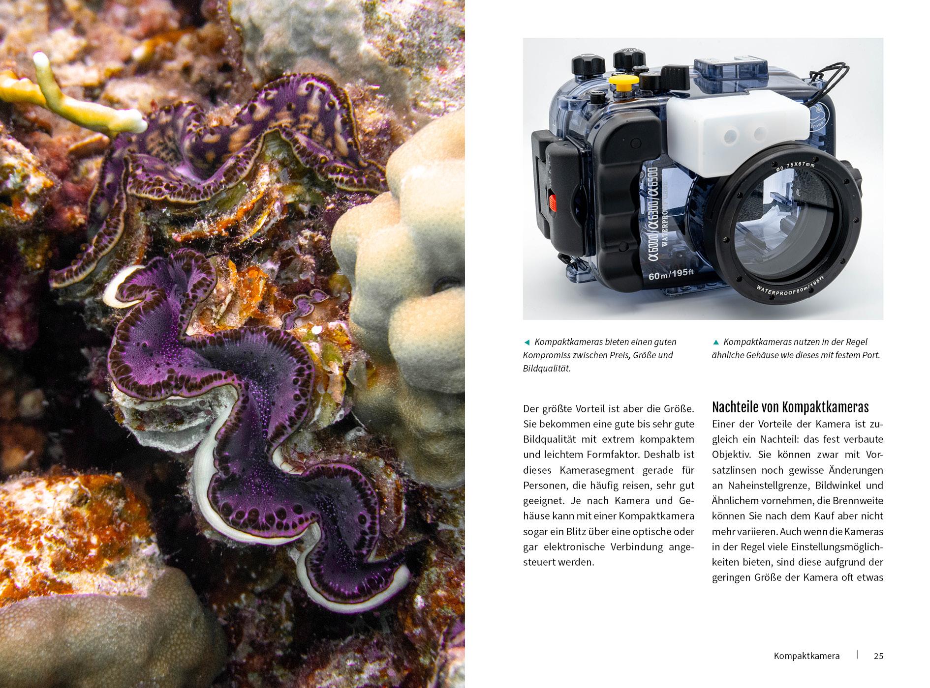 Beispielinhalt (Bild) Unterwasser - Die Fotoschule mit "Tiefgang"