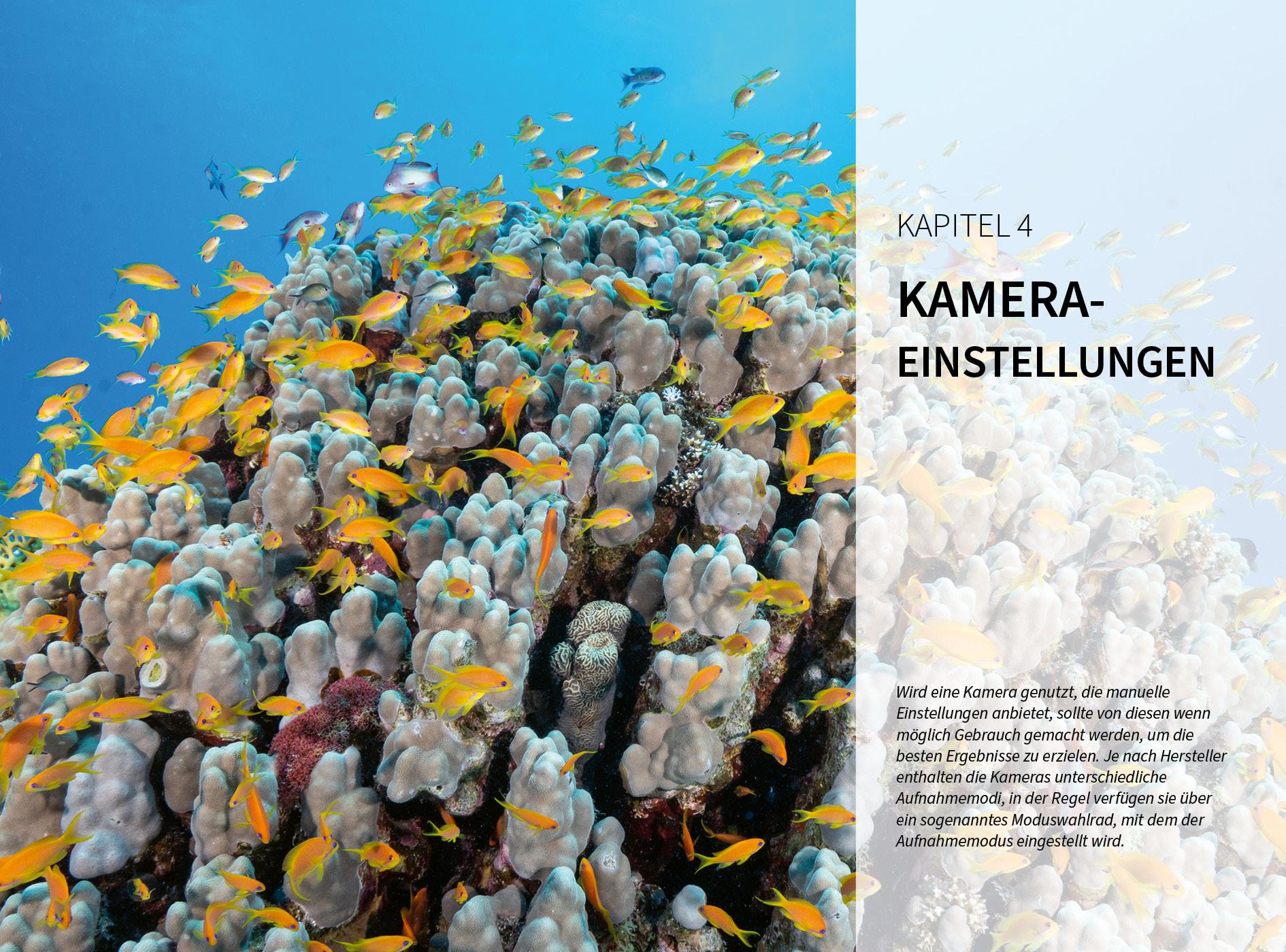 Beispielinhalt (Bild) Unterwasser - Die Fotoschule mit "Tiefgang"