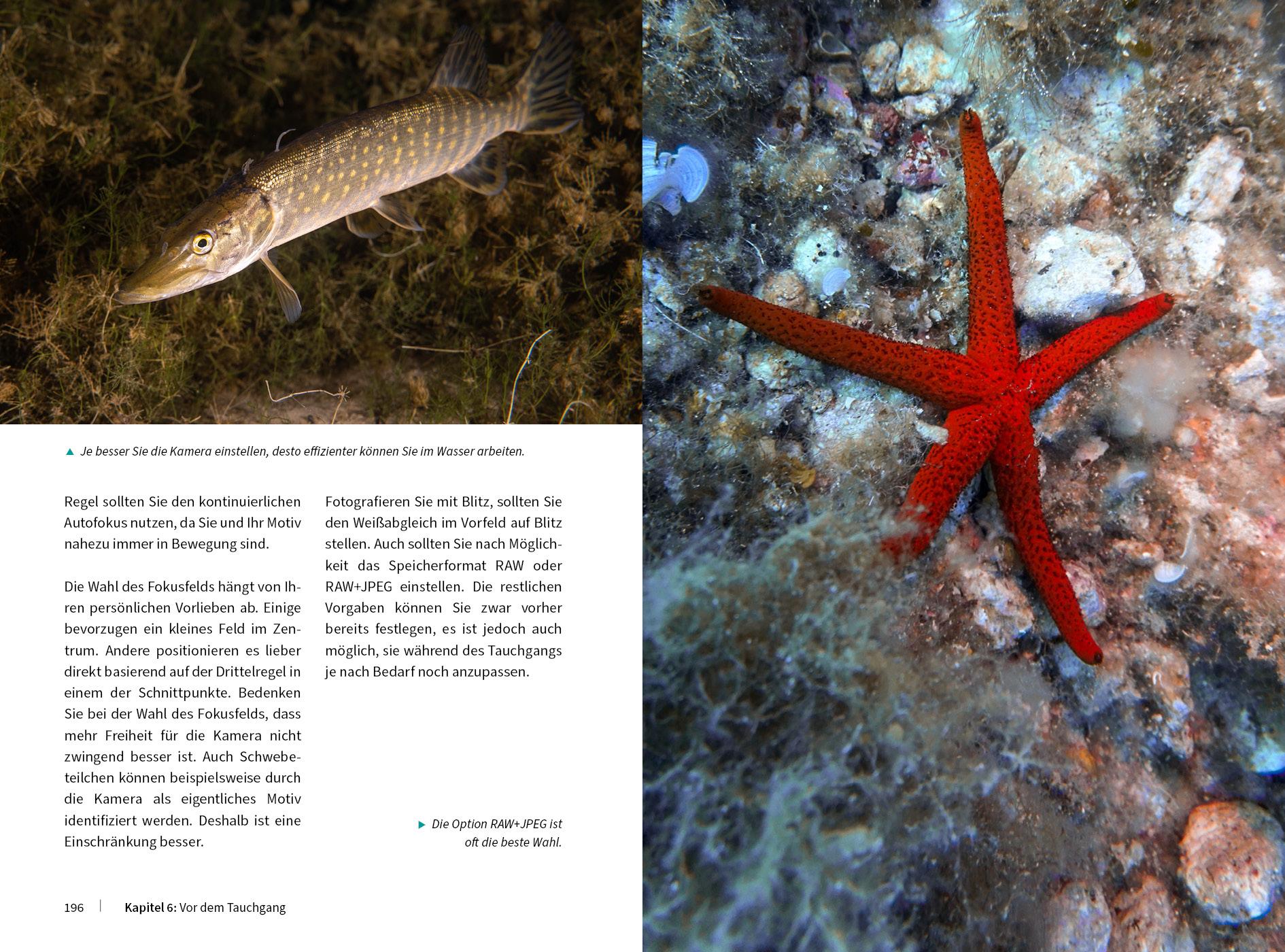 Beispielinhalt (Bild) Unterwasser - Die Fotoschule mit "Tiefgang"