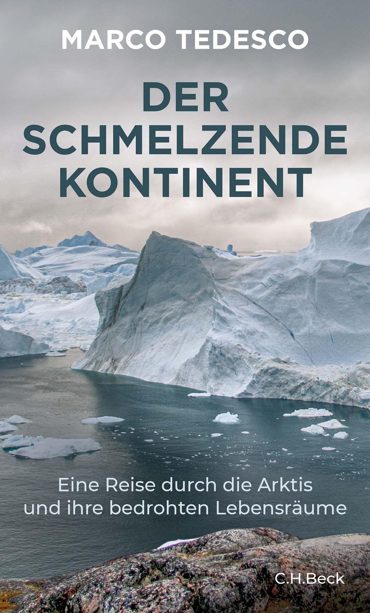 Vorderes Coverbild Der schmelzende Kontinent