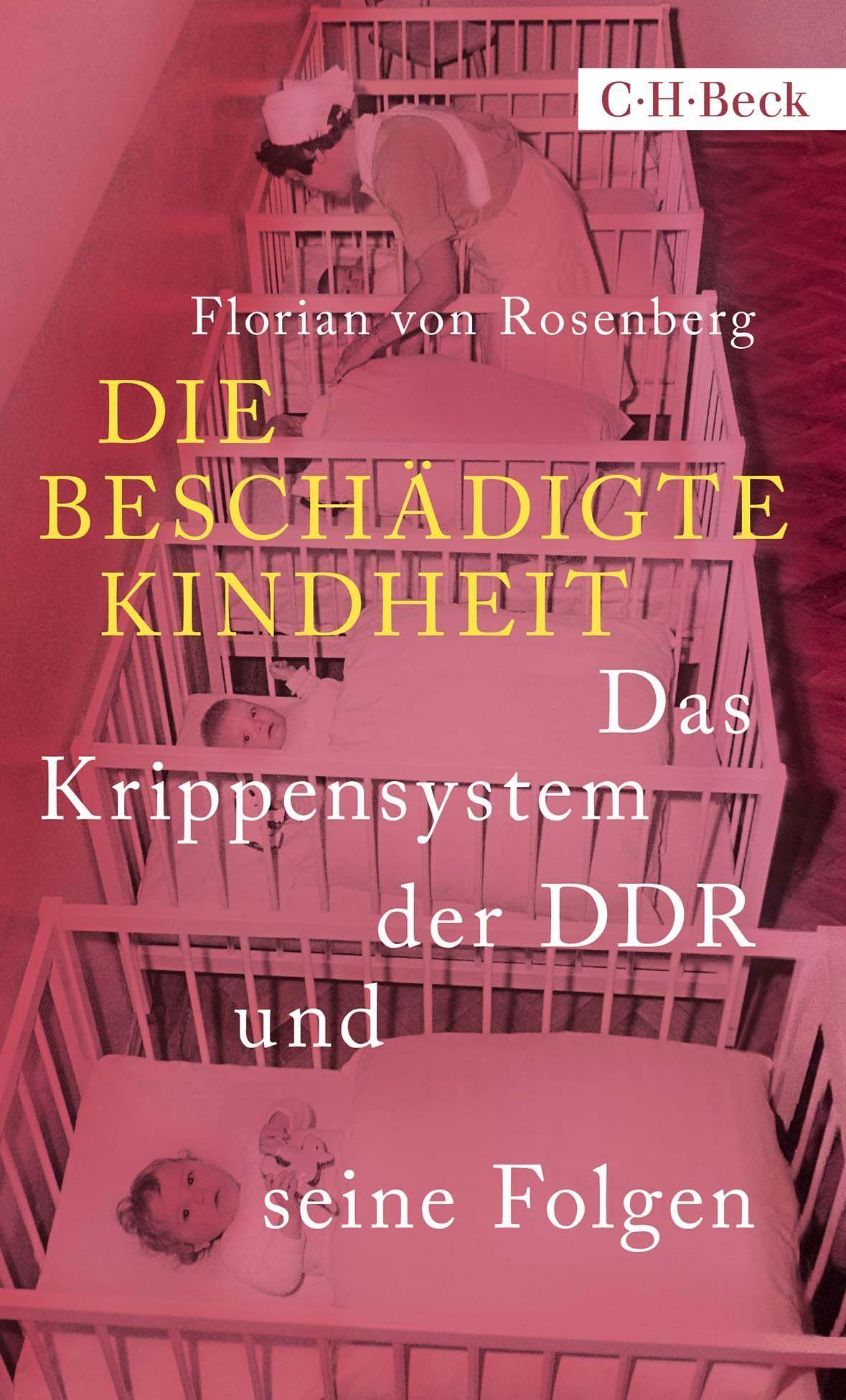 Vorderes Coverbild Die beschädigte Kindheit