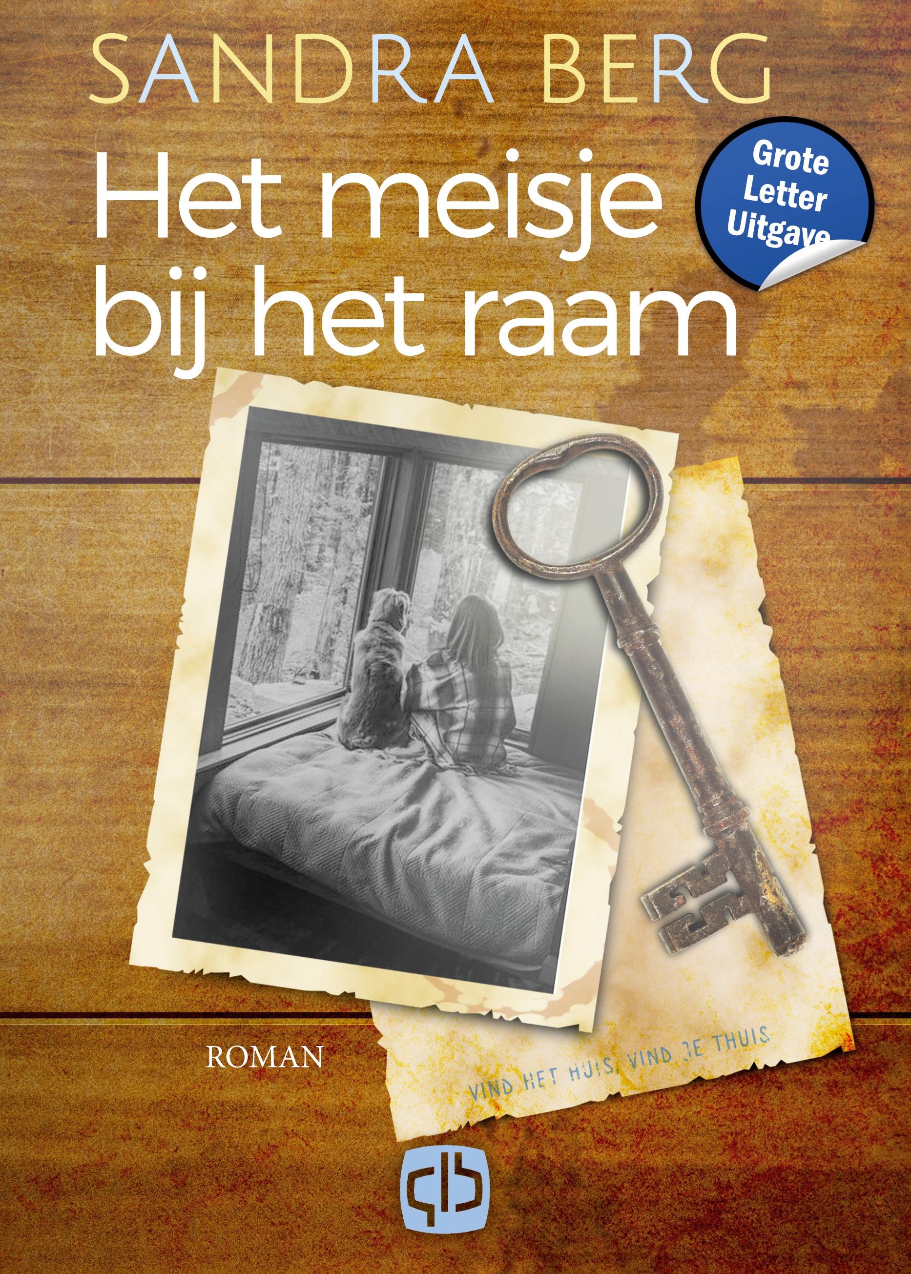Vorderes Coverbild Het meisje bij het raam