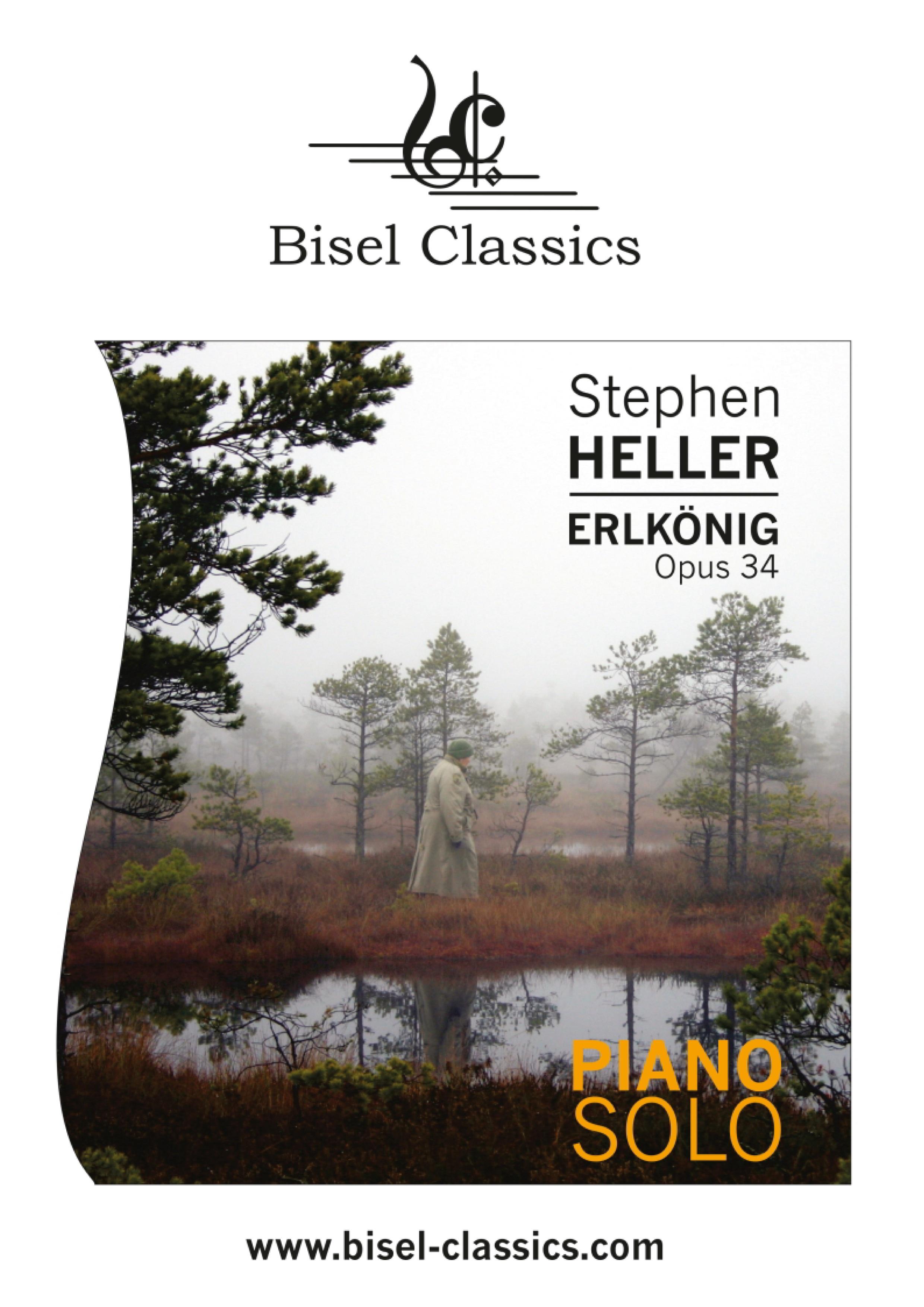 Vorderes Coverbild Erlkönig
