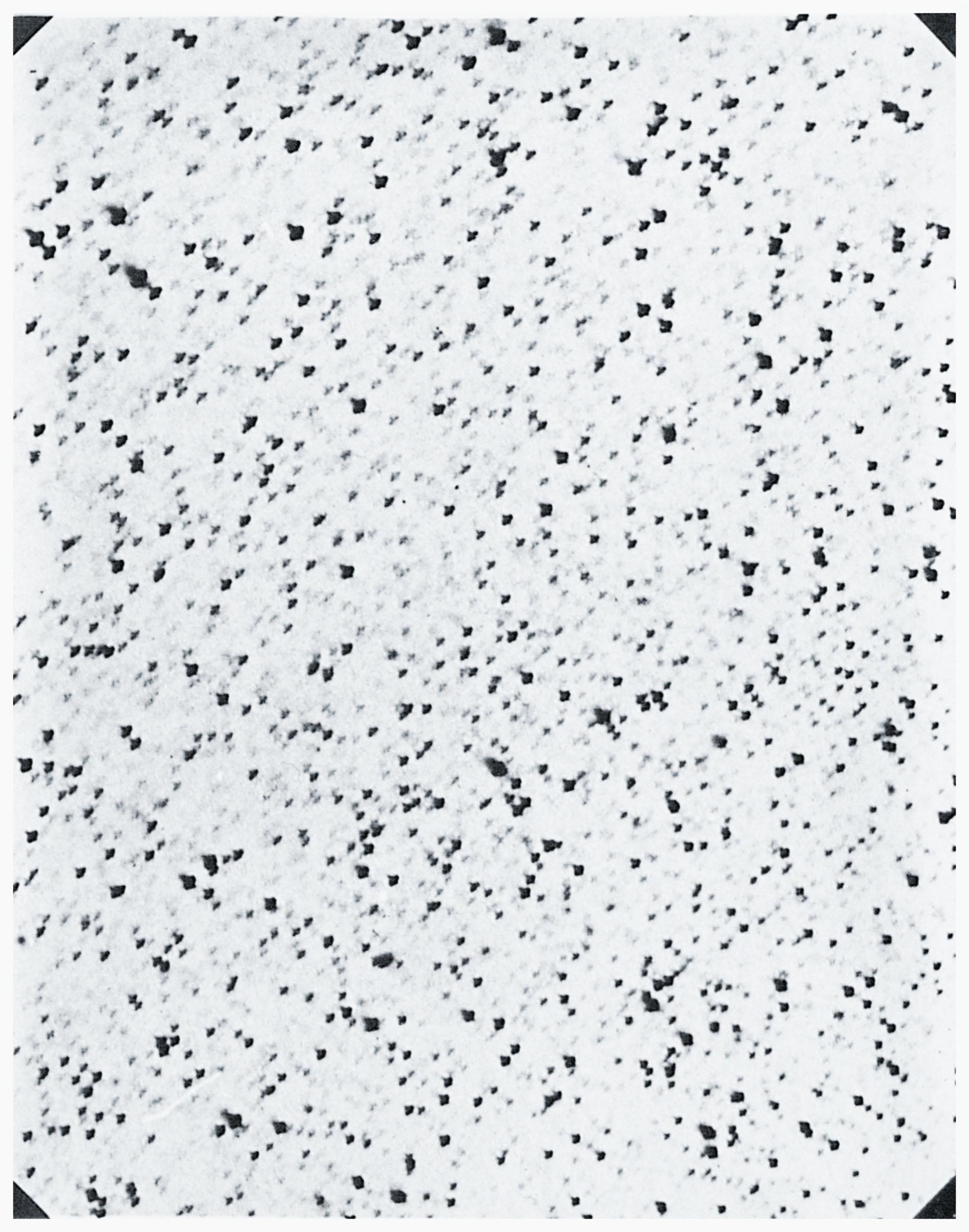 Vorderes Coverbild By Means of the Sun