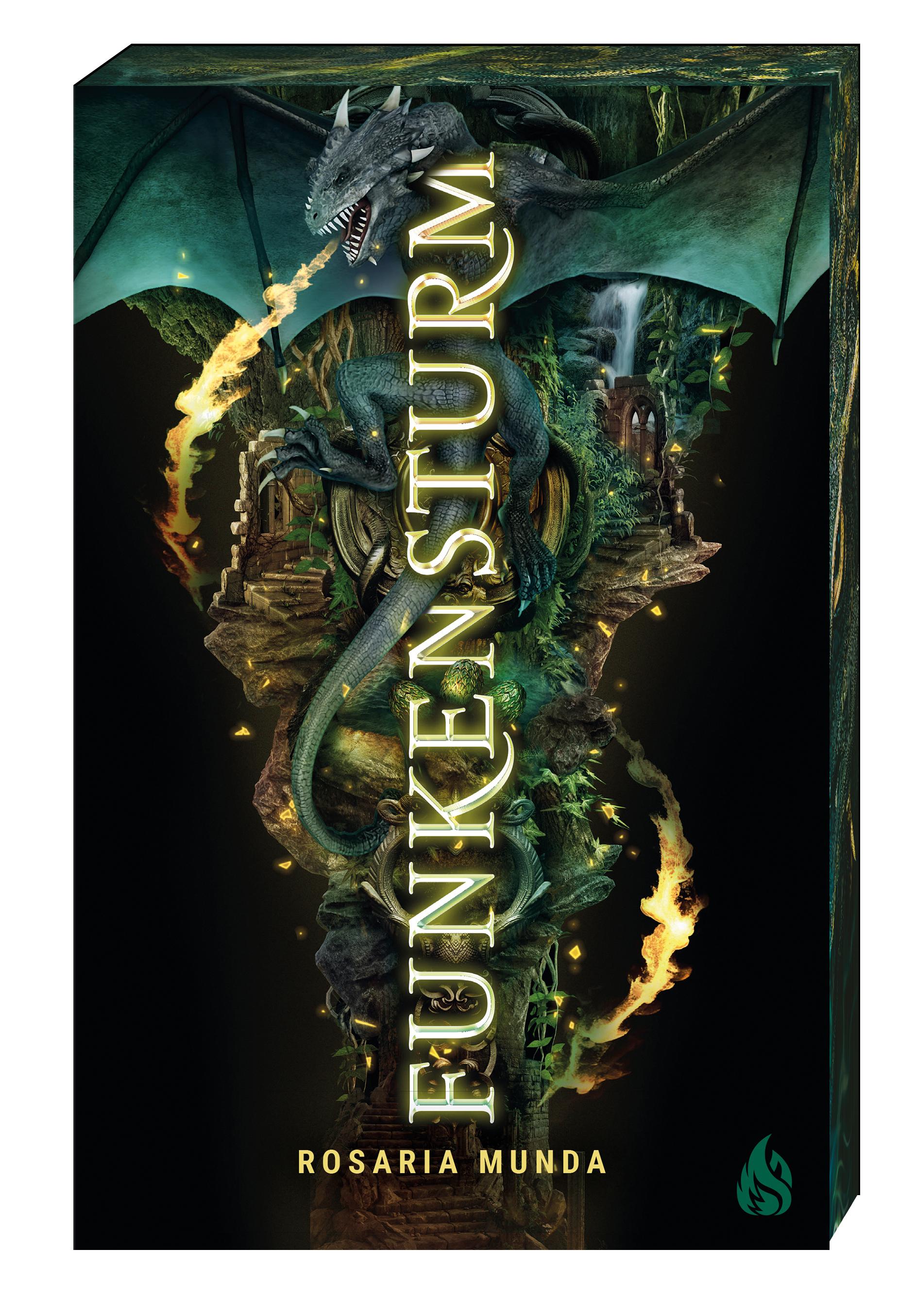 Vorderes Coverbild Funkensturm