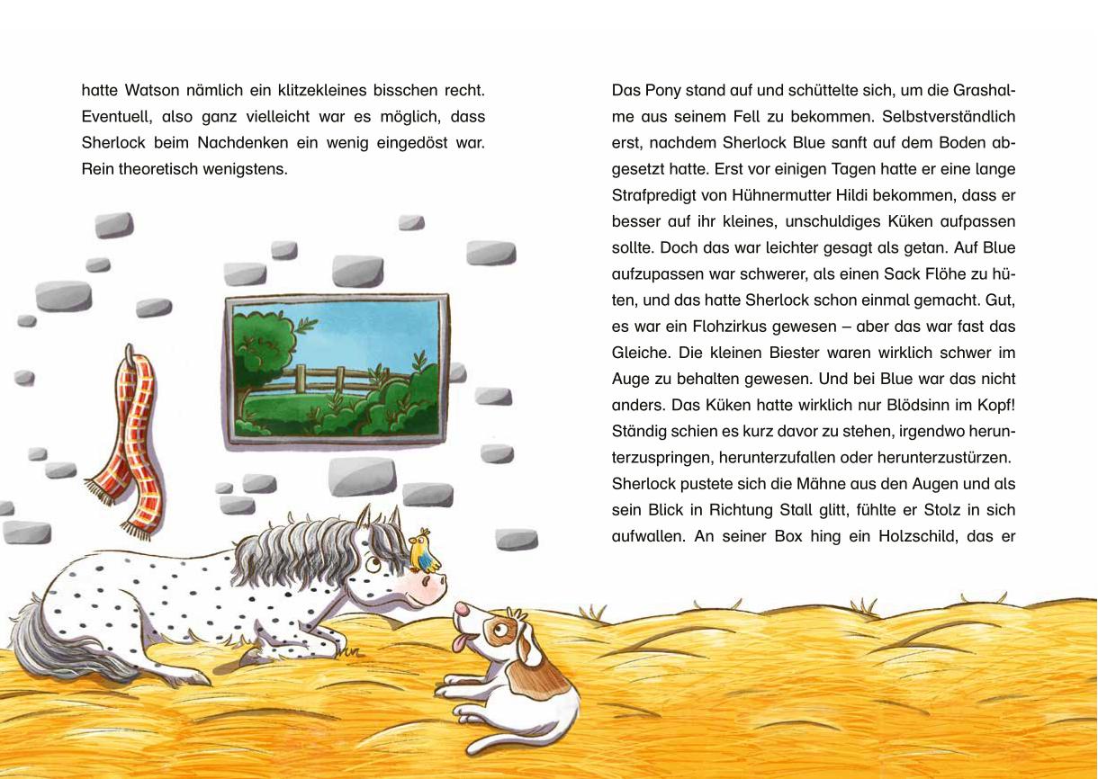 Beispielinhalt (Bild) Ein neuer Fall für Sherlock Pony