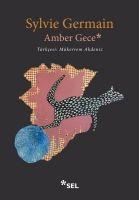 Vorderes Coverbild Amber Gece