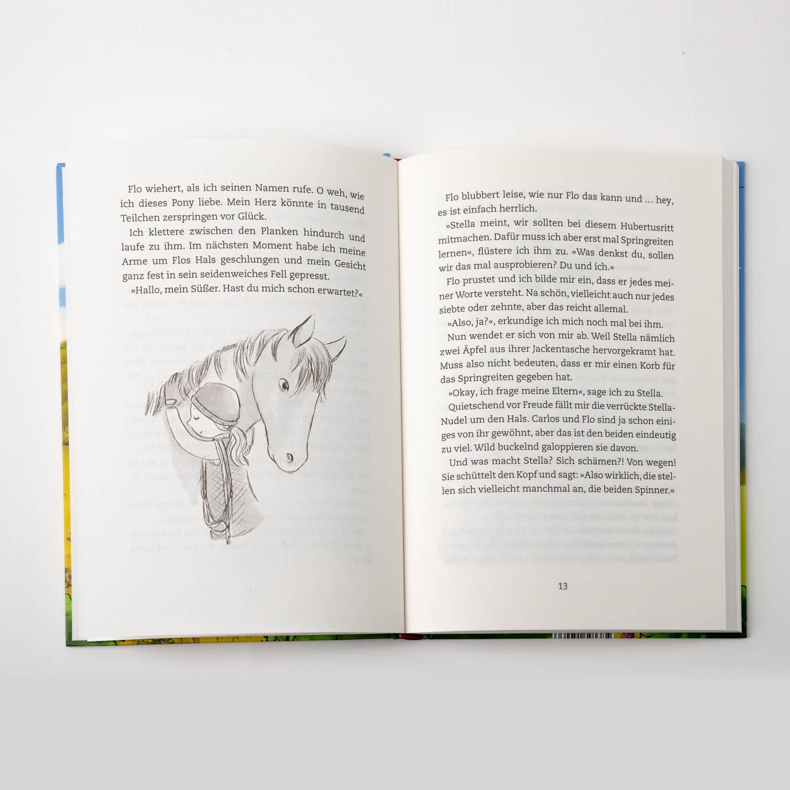 Beispielinhalt (Bild) Lina und das große Wettreiten