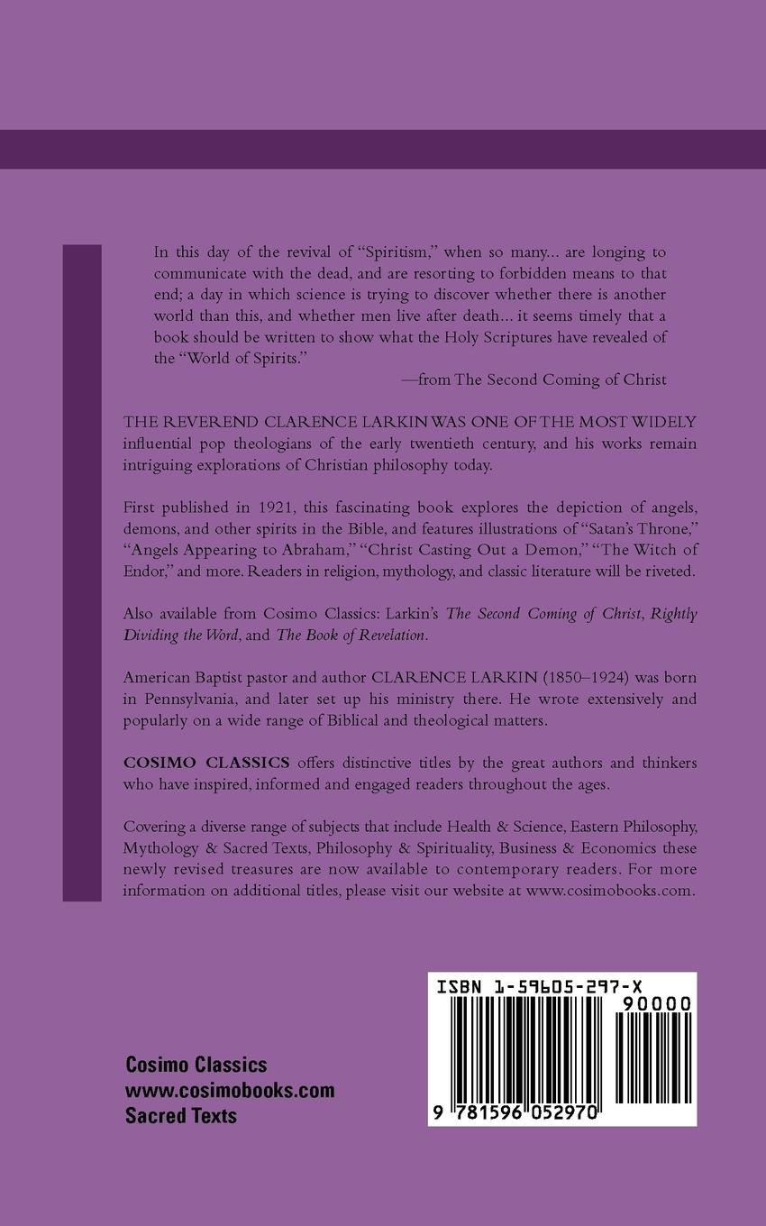 Rückseitencover The Spirit World