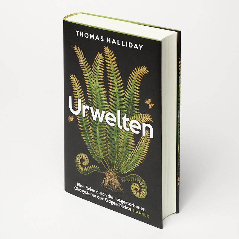 Beispielinhalt (Bild) Urwelten