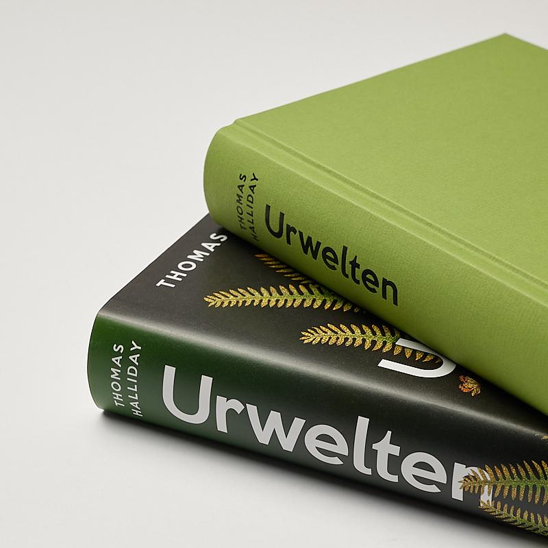 Beispielinhalt (Bild) Urwelten