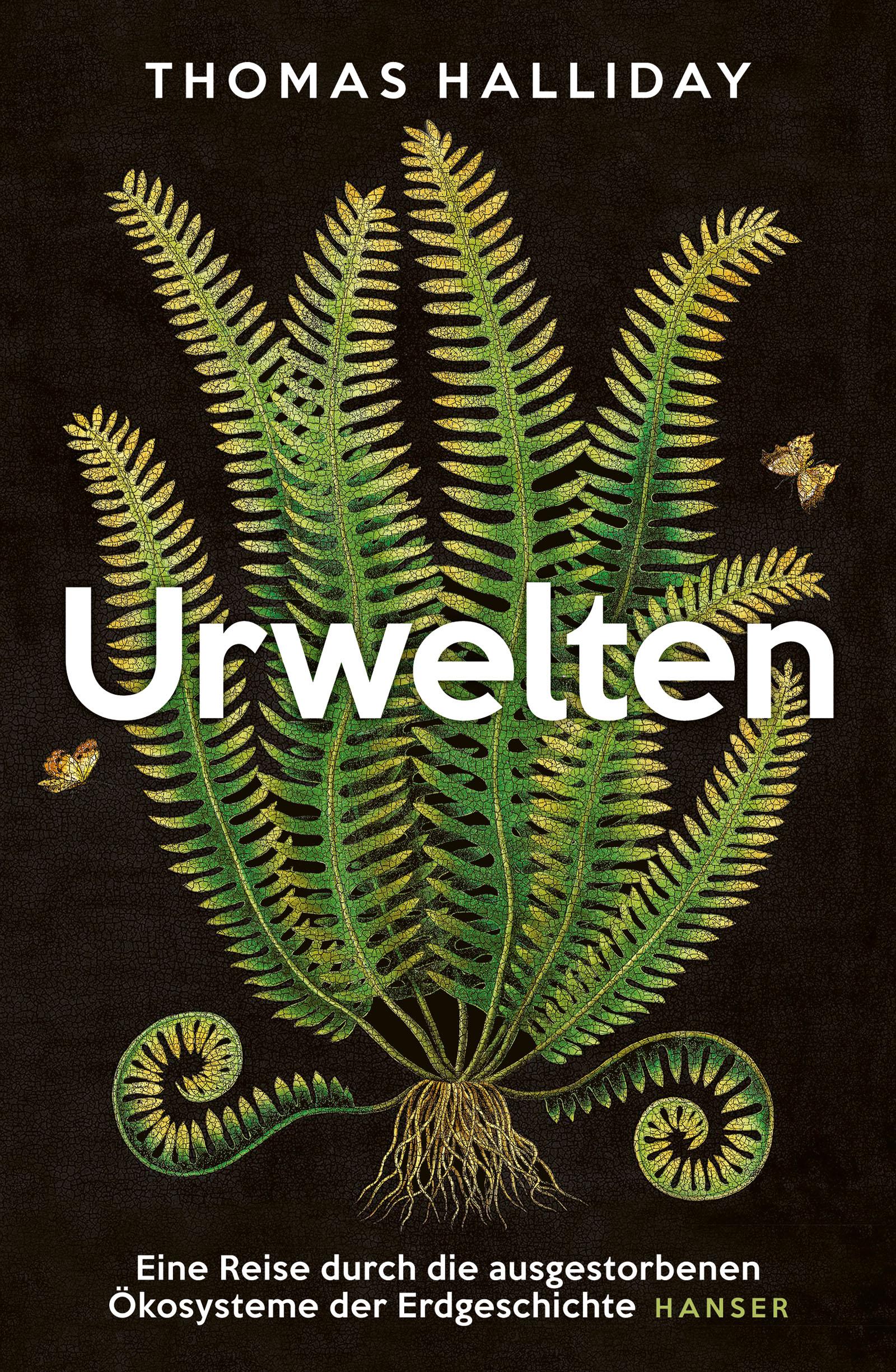Vorderes Coverbild Urwelten