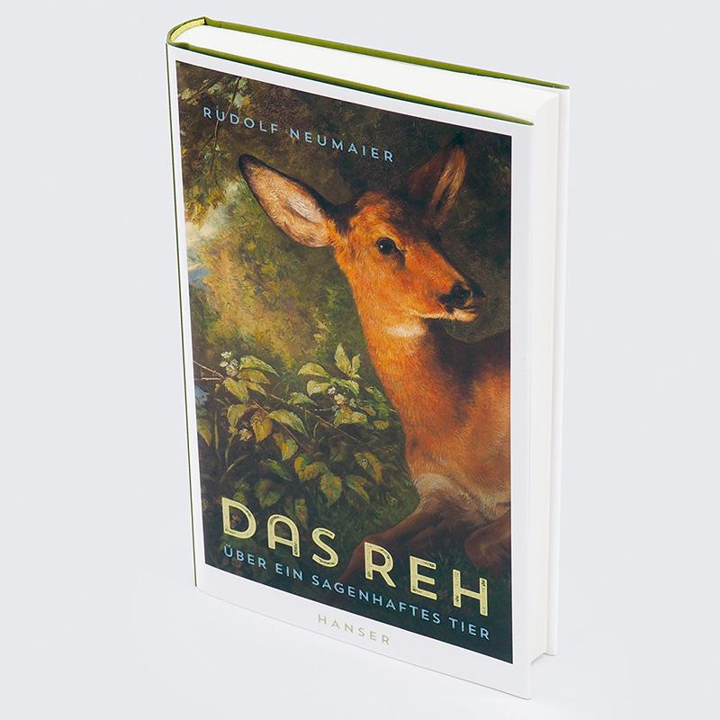 Beispielinhalt (Bild) Das Reh