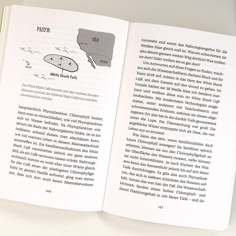 Beispielinhalt (Bild) Wenn Haie leuchten