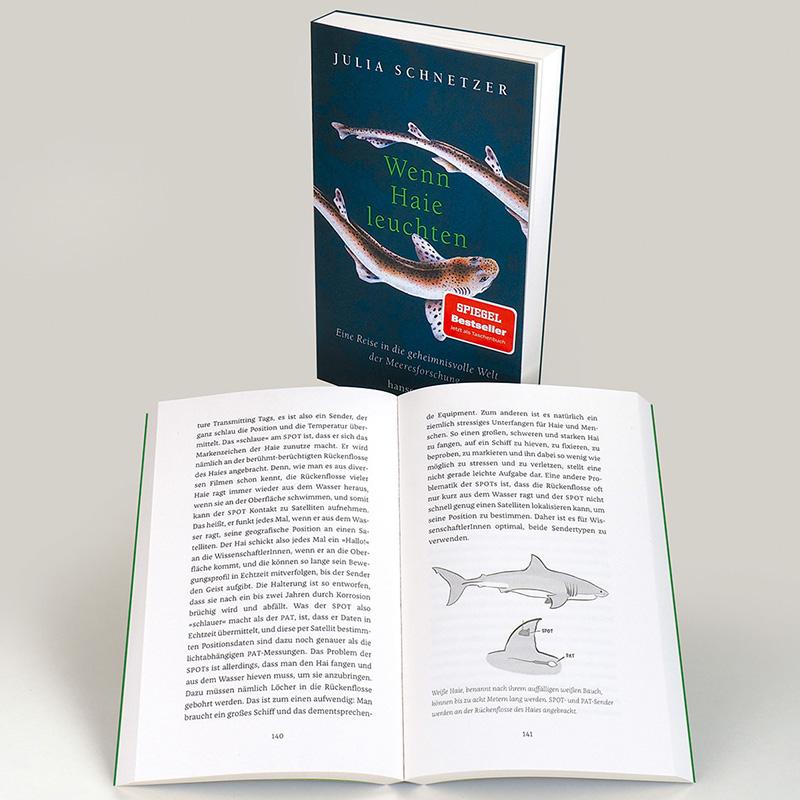 Beispielinhalt (Bild) Wenn Haie leuchten