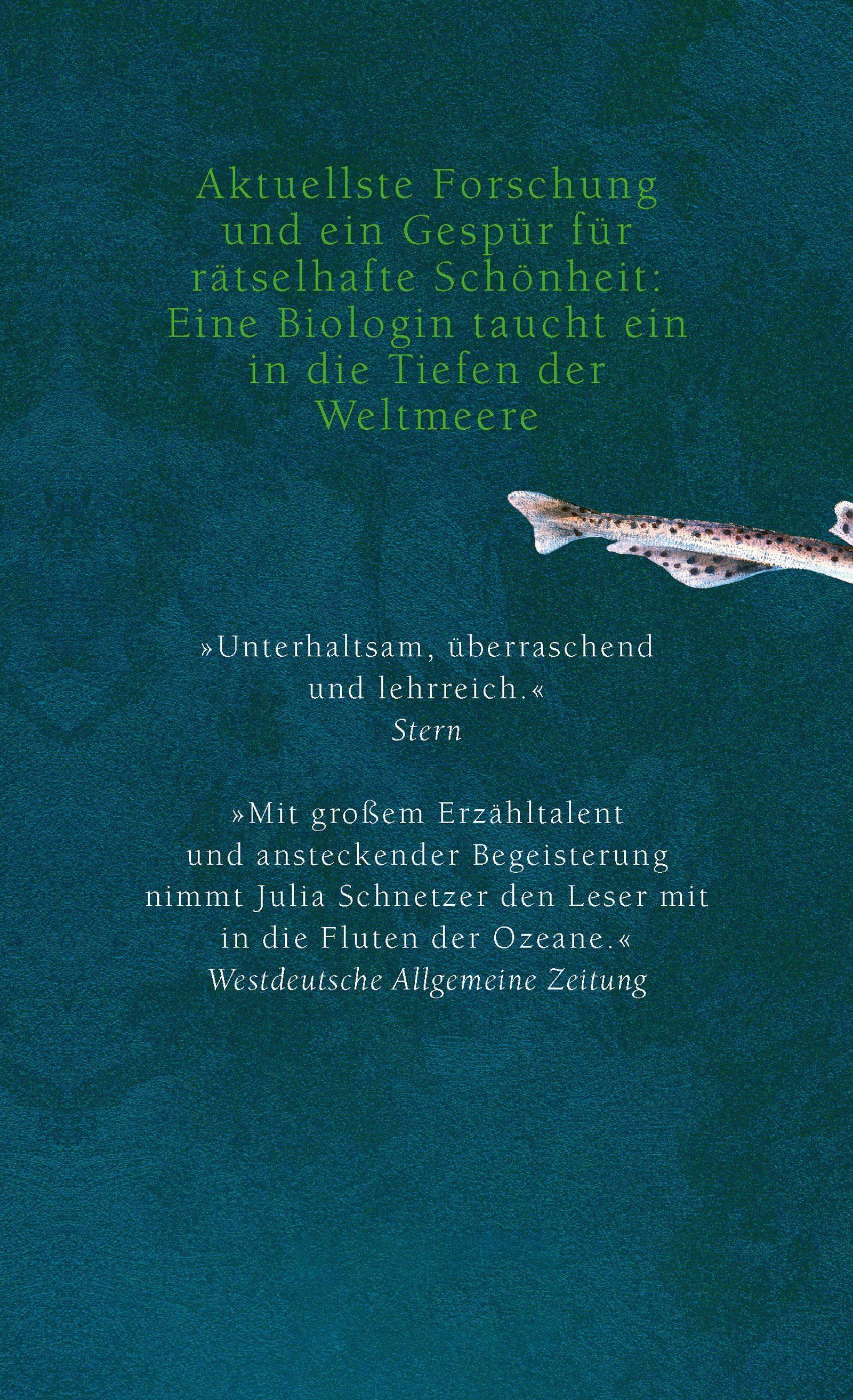 Beispielinhalt (Bild) Wenn Haie leuchten