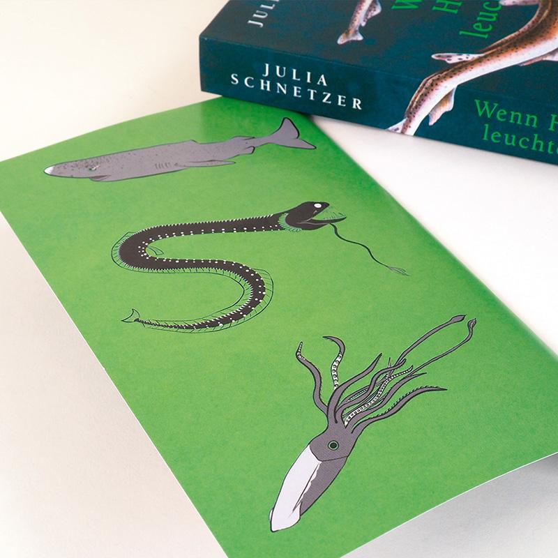 Beispielinhalt (Bild) Wenn Haie leuchten