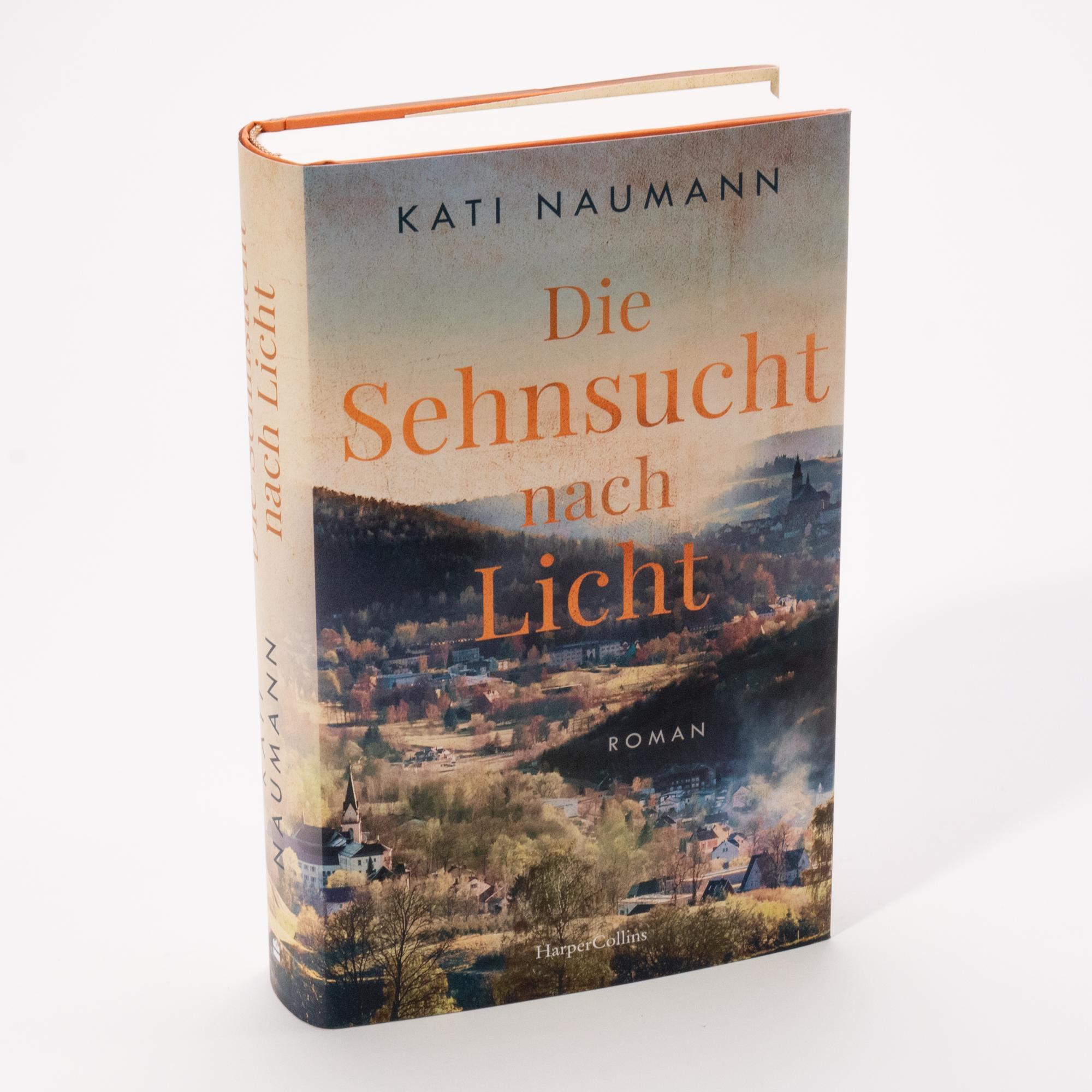 Beispielinhalt (Bild) Die Sehnsucht nach Licht