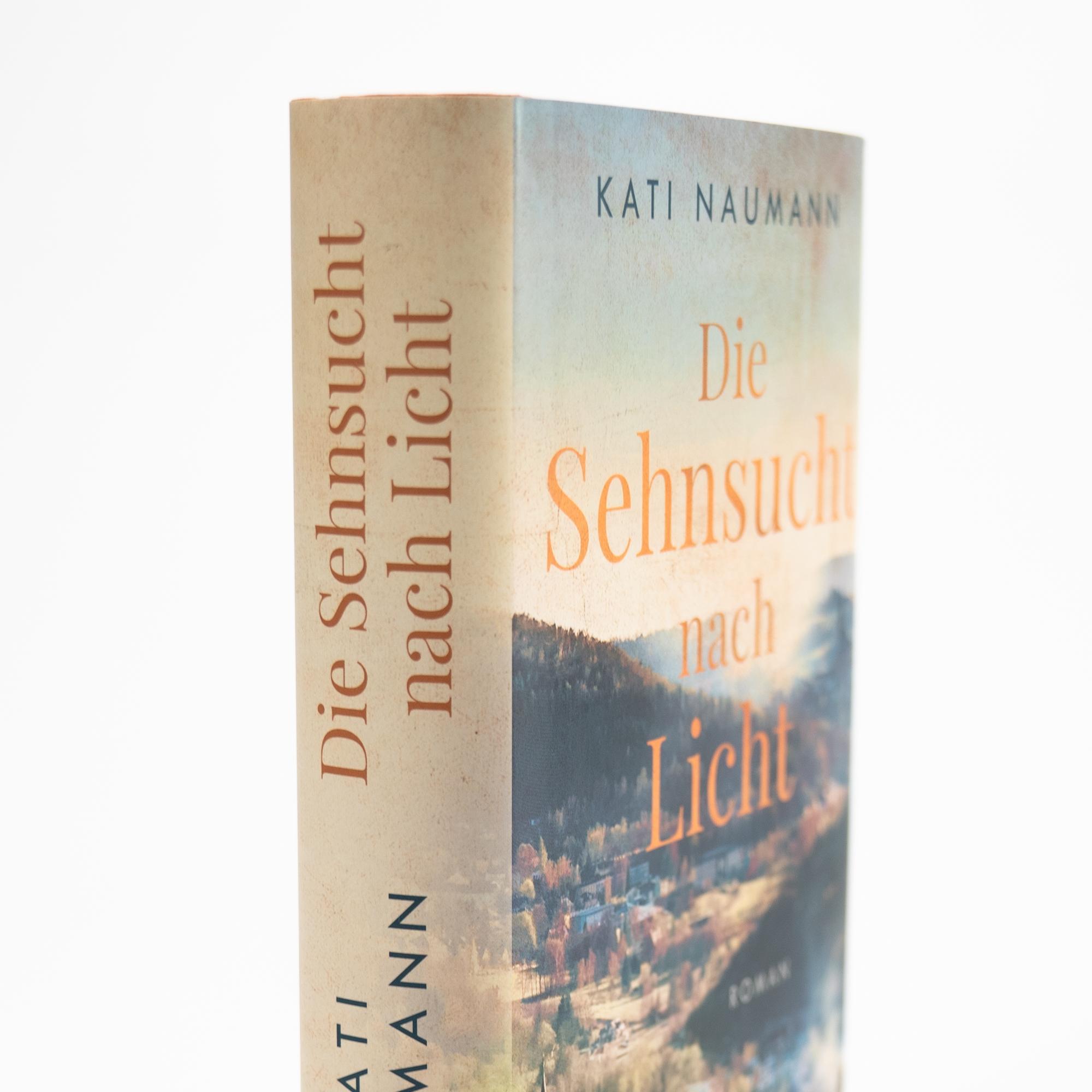 Beispielinhalt (Bild) Die Sehnsucht nach Licht