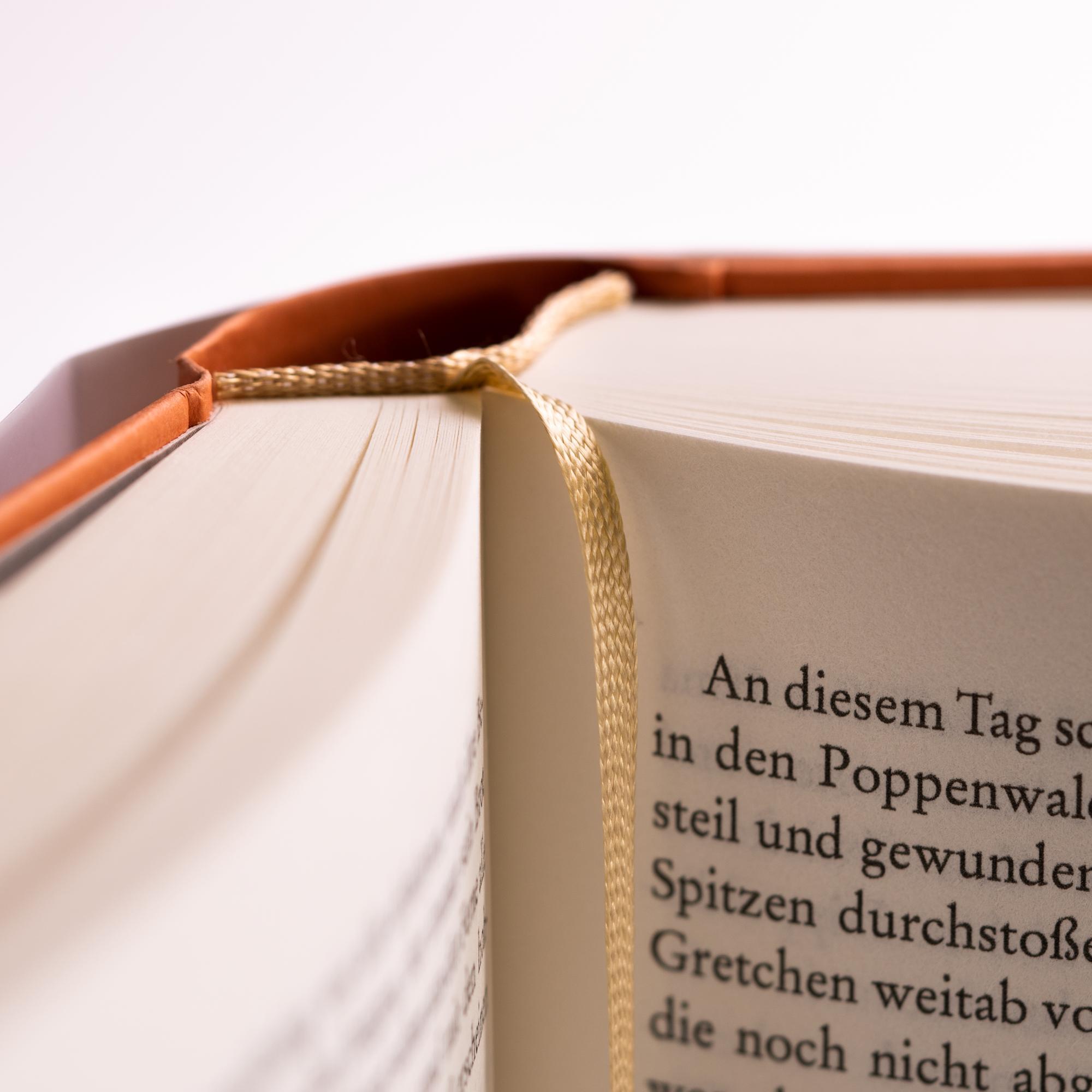 Beispielinhalt (Bild) Die Sehnsucht nach Licht