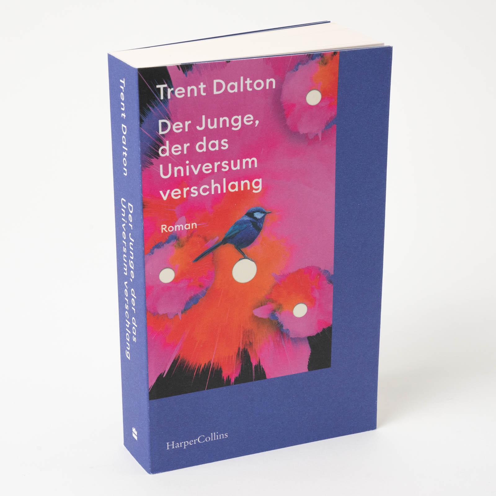 Beispielinhalt (Bild) Der Junge, der das Universum verschlang