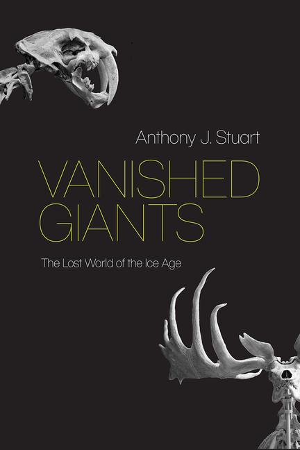 Vorderes Coverbild Vanished Giants