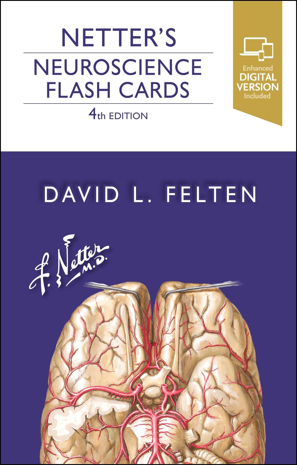 Vorderes Coverbild Netter's Neuroscience Flash Cards