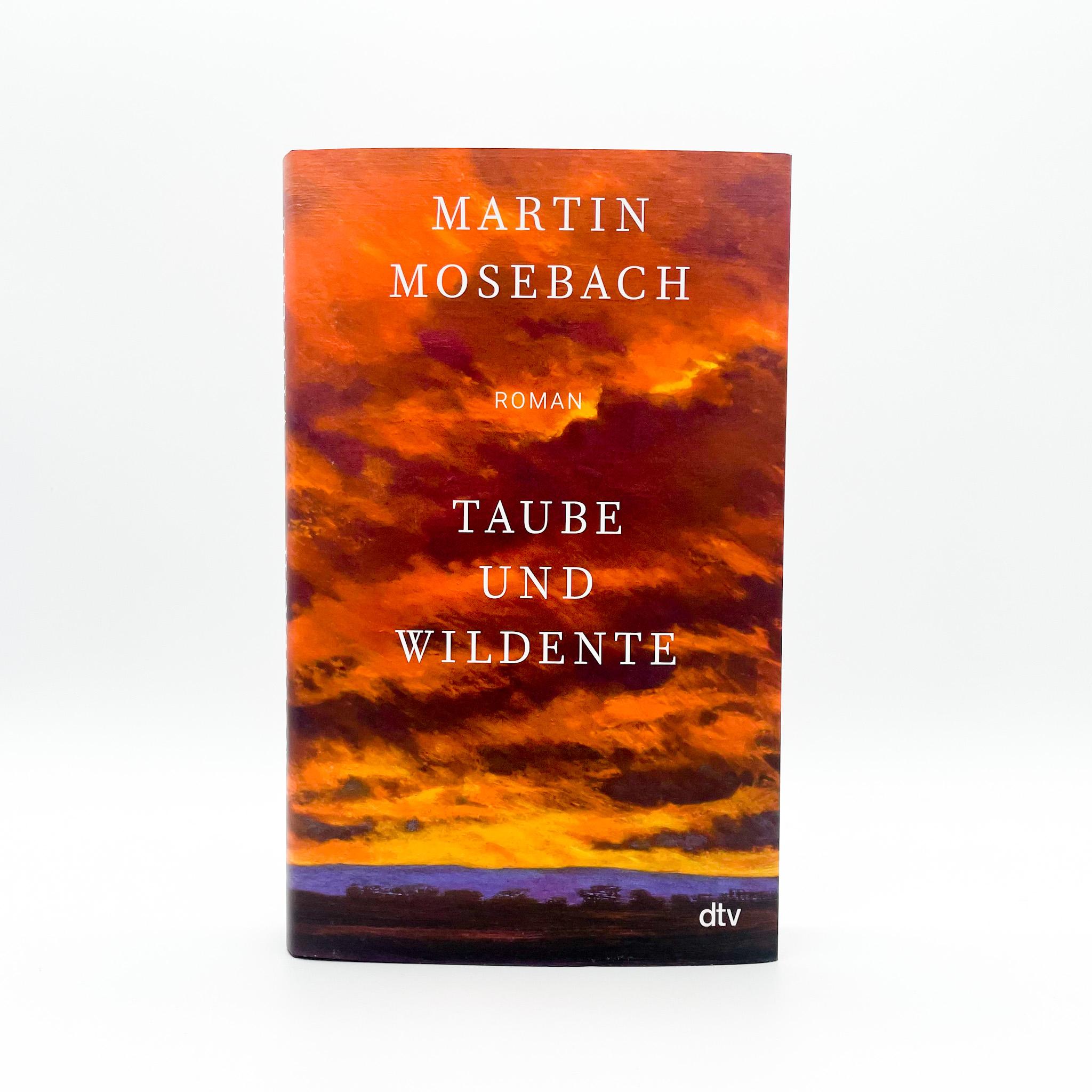 Beispielinhalt (Bild) Taube und Wildente