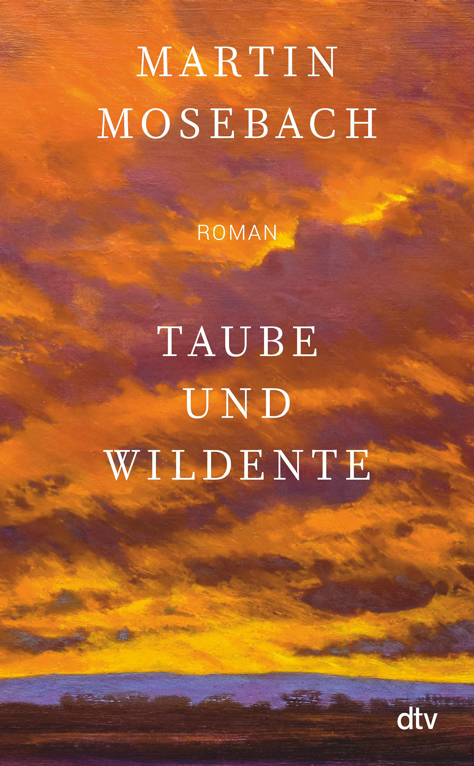 Vorderes Coverbild Taube und Wildente