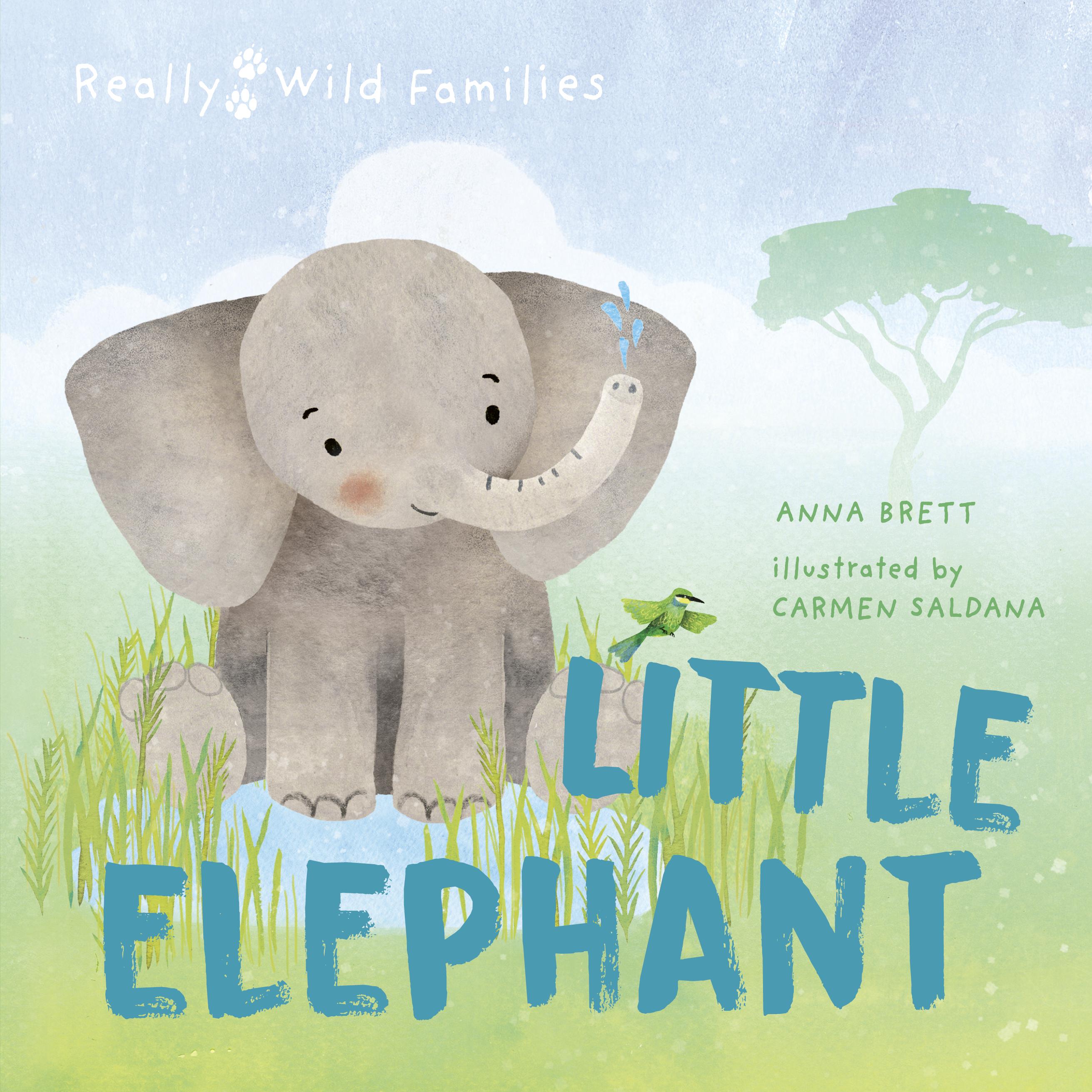 Vorderes Coverbild Little Elephant