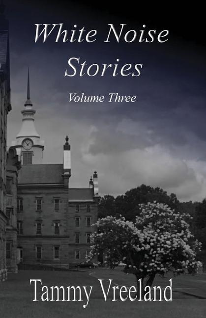 Vorderes Coverbild White Noise Stories - Volume Three
