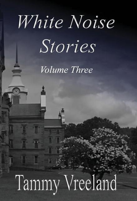 Vorderes Coverbild White Noise Stories - Volume Three