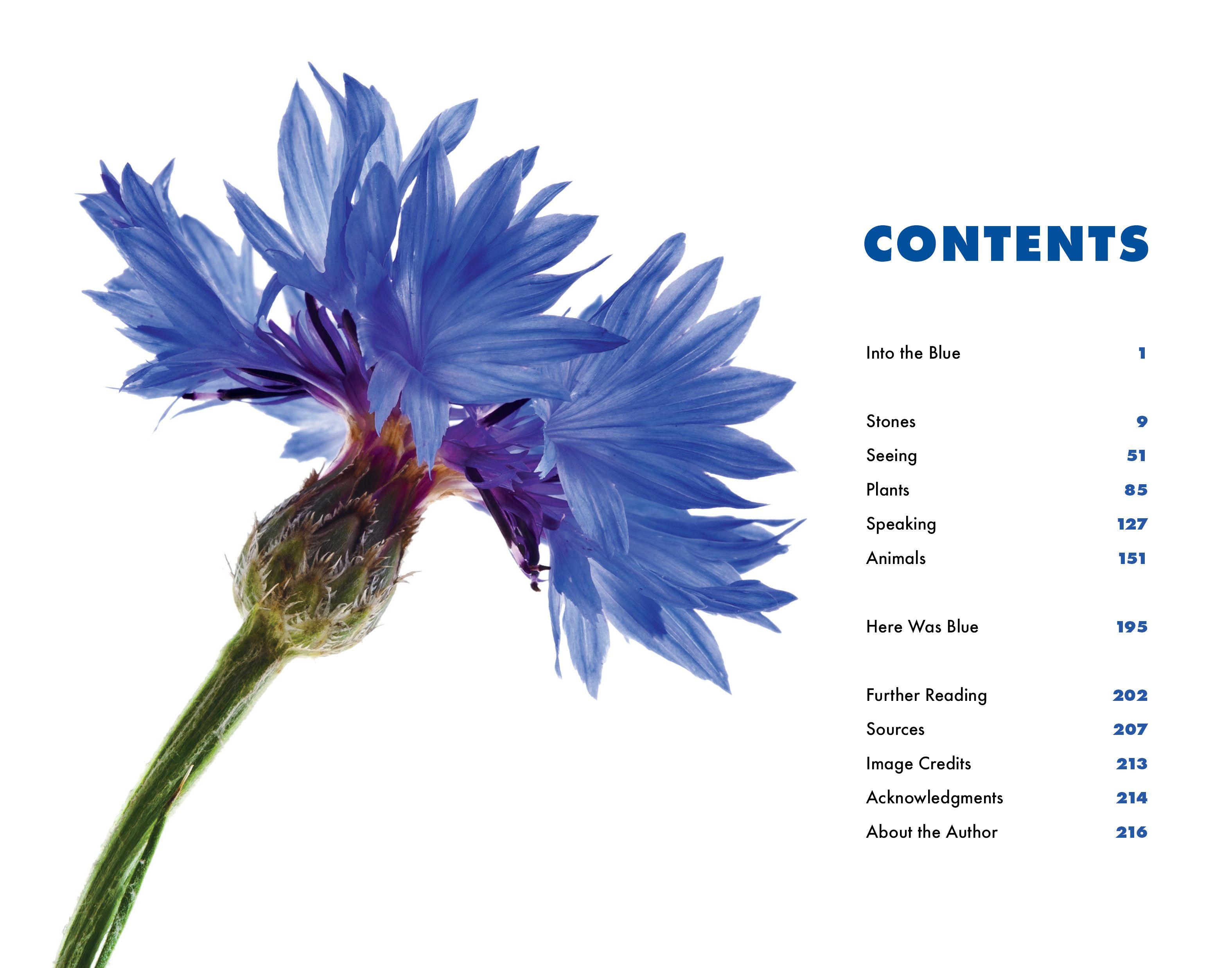 Beispielinhalt (Bild) Blue