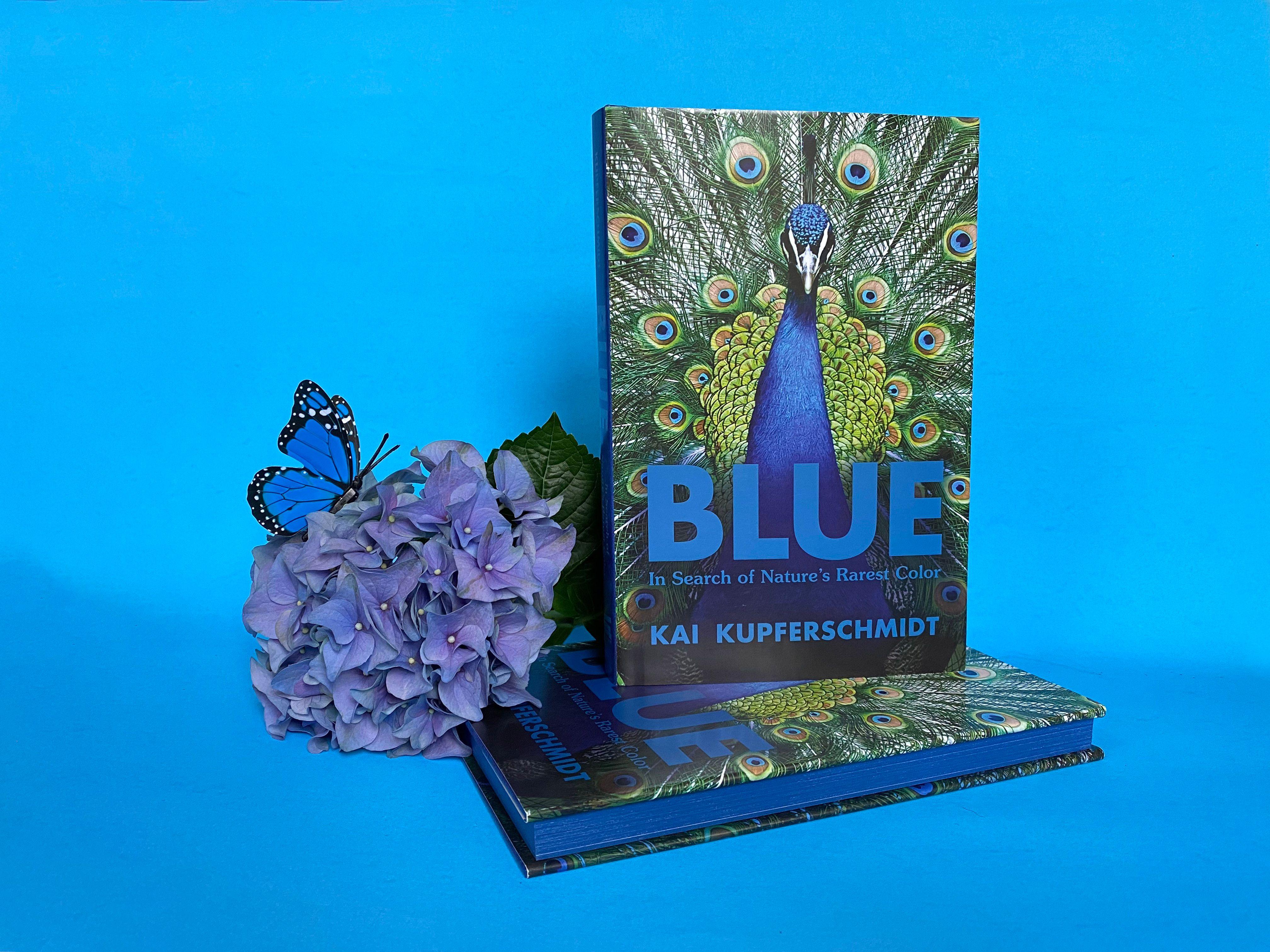 Beispielinhalt (Bild) Blue