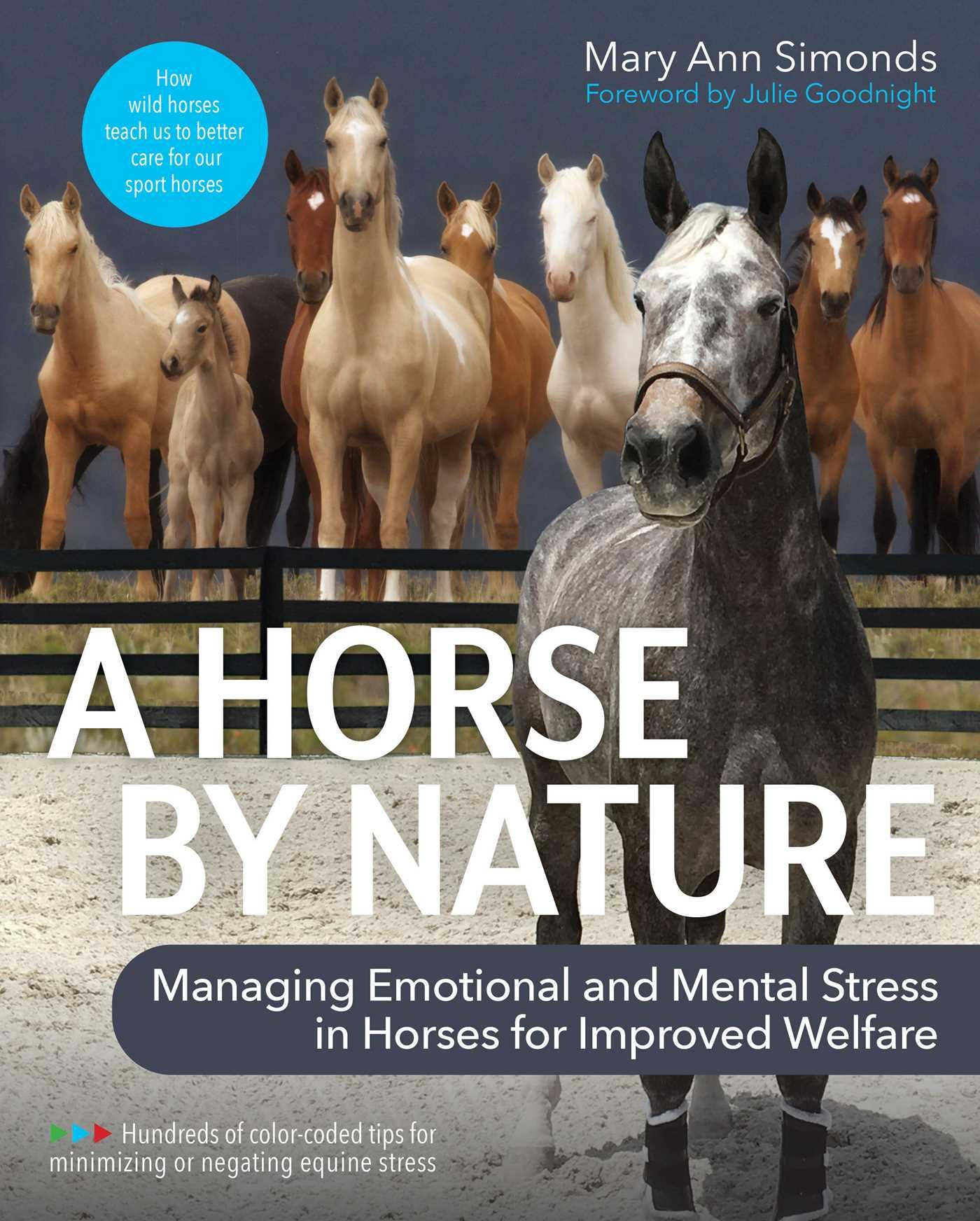 Vorderes Coverbild A Horse by Nature