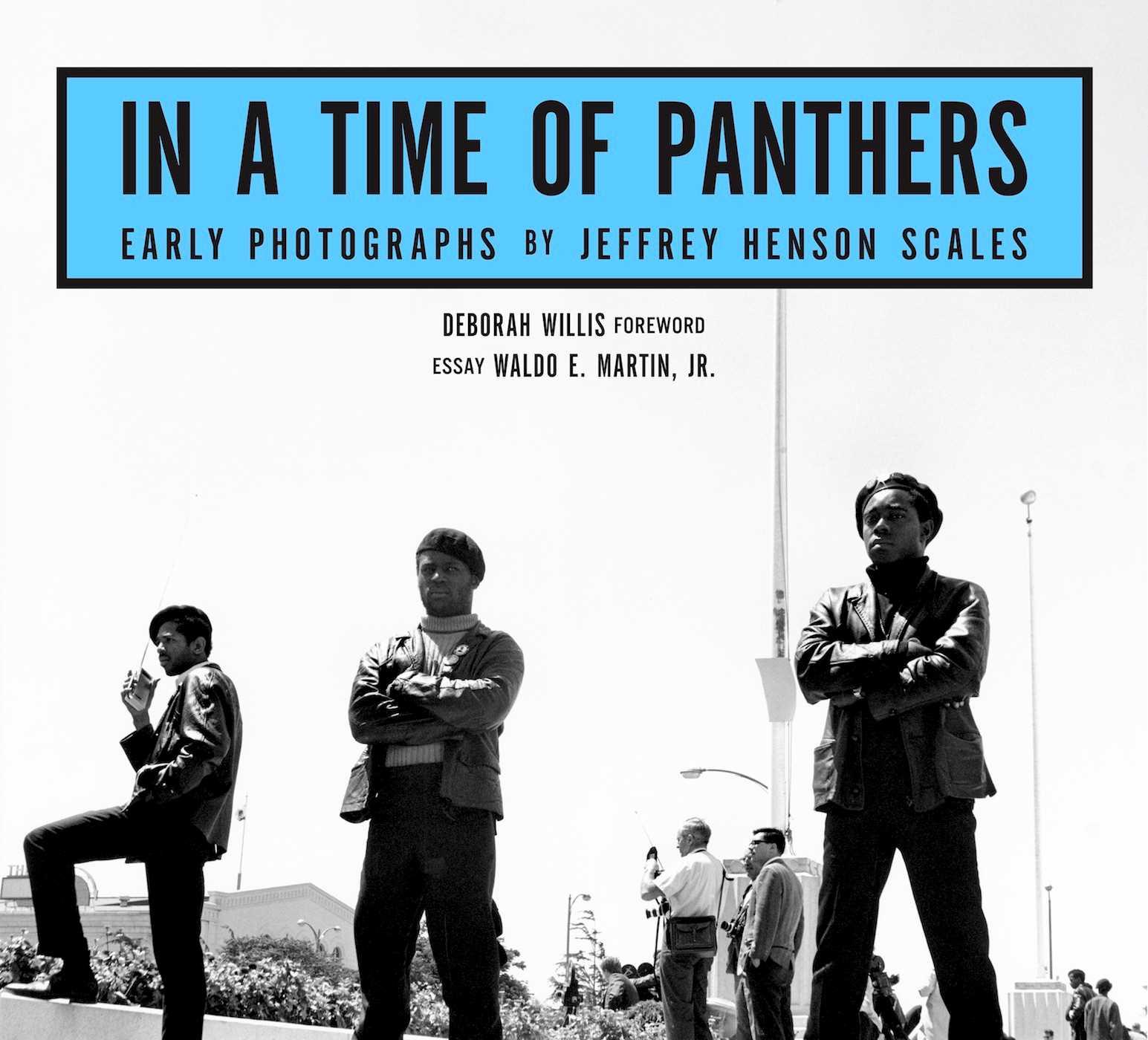 Vorderes Coverbild In A Time of Panthers