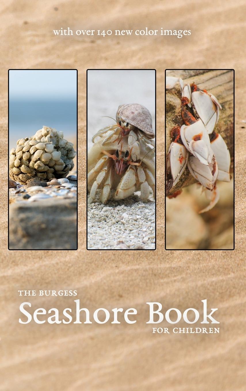 Vorderes Coverbild The Burgess Seashore Book with new color images