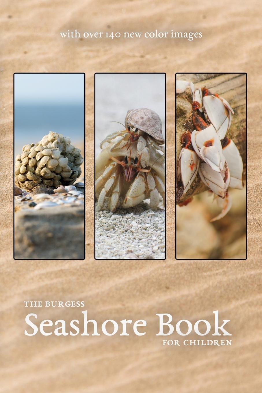 Vorderes Coverbild The Burgess Seashore Book with new color images