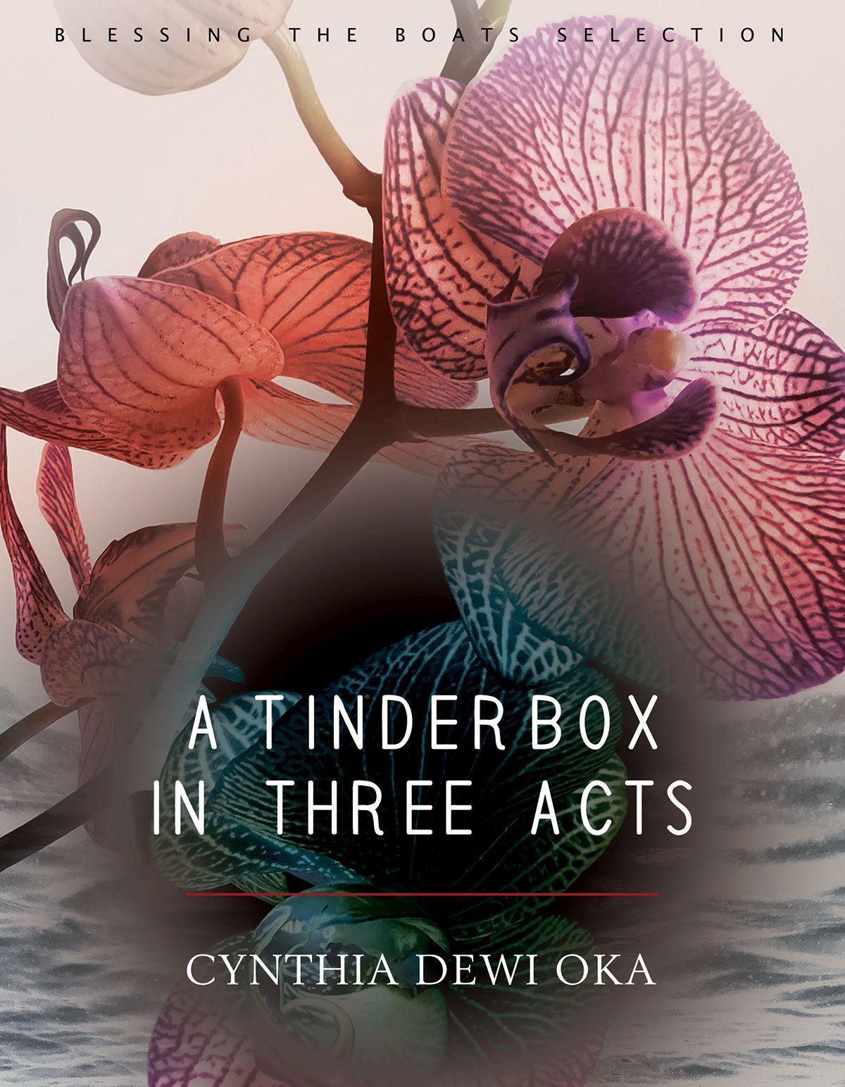 Vorderes Coverbild A Tinderbox in Three Acts