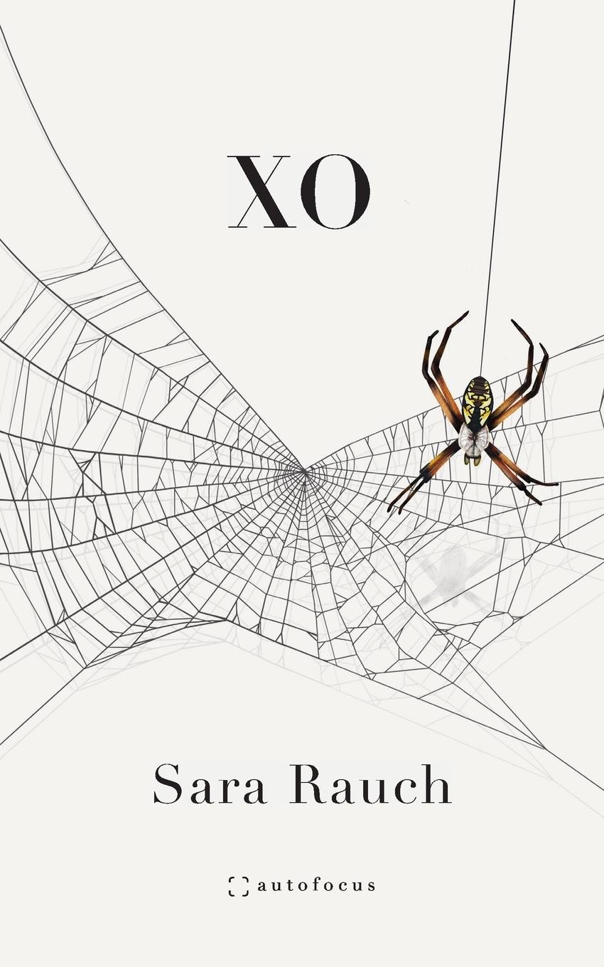 Vorderes Coverbild XO