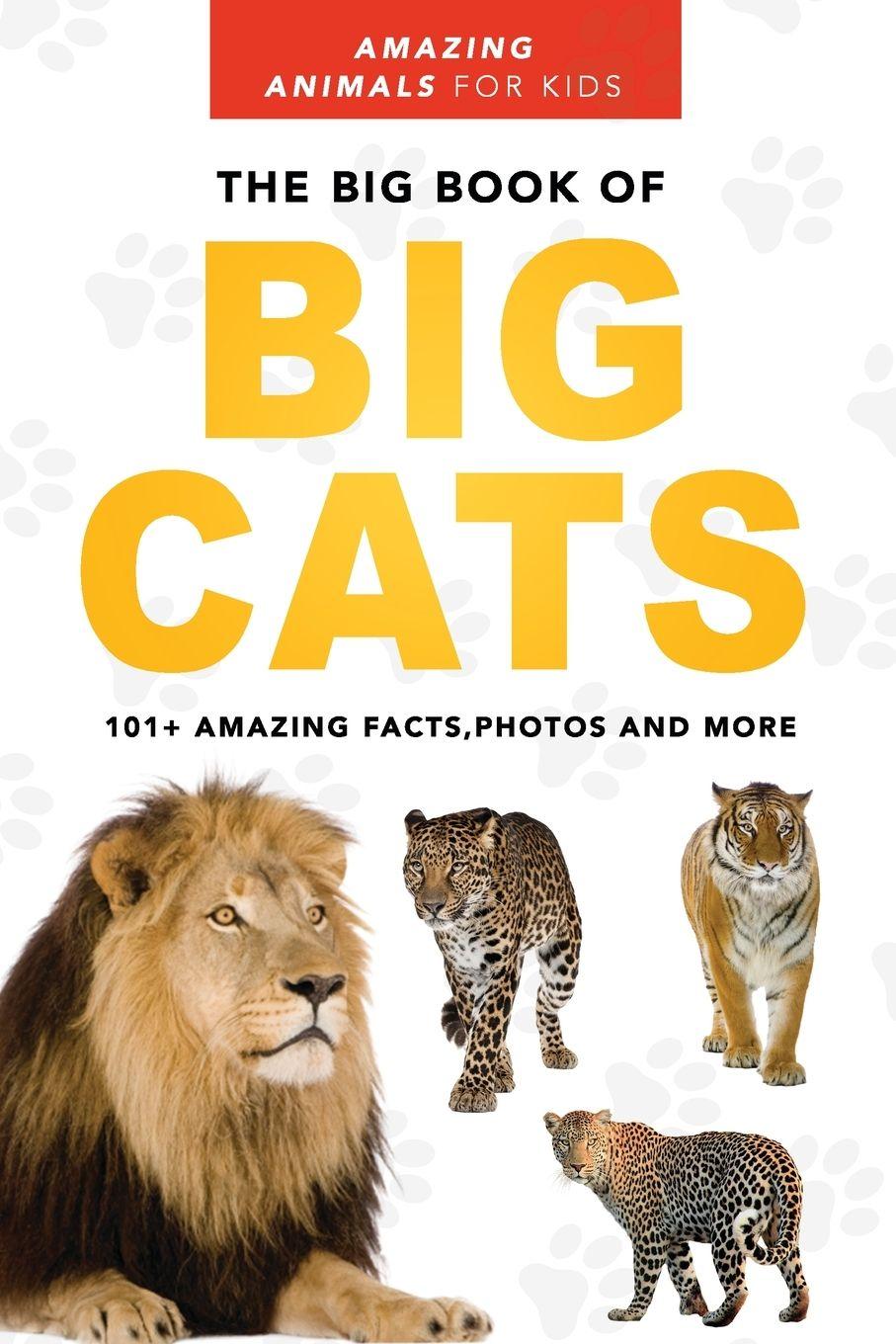 Vorderes Coverbild The Big Book of Big Cats